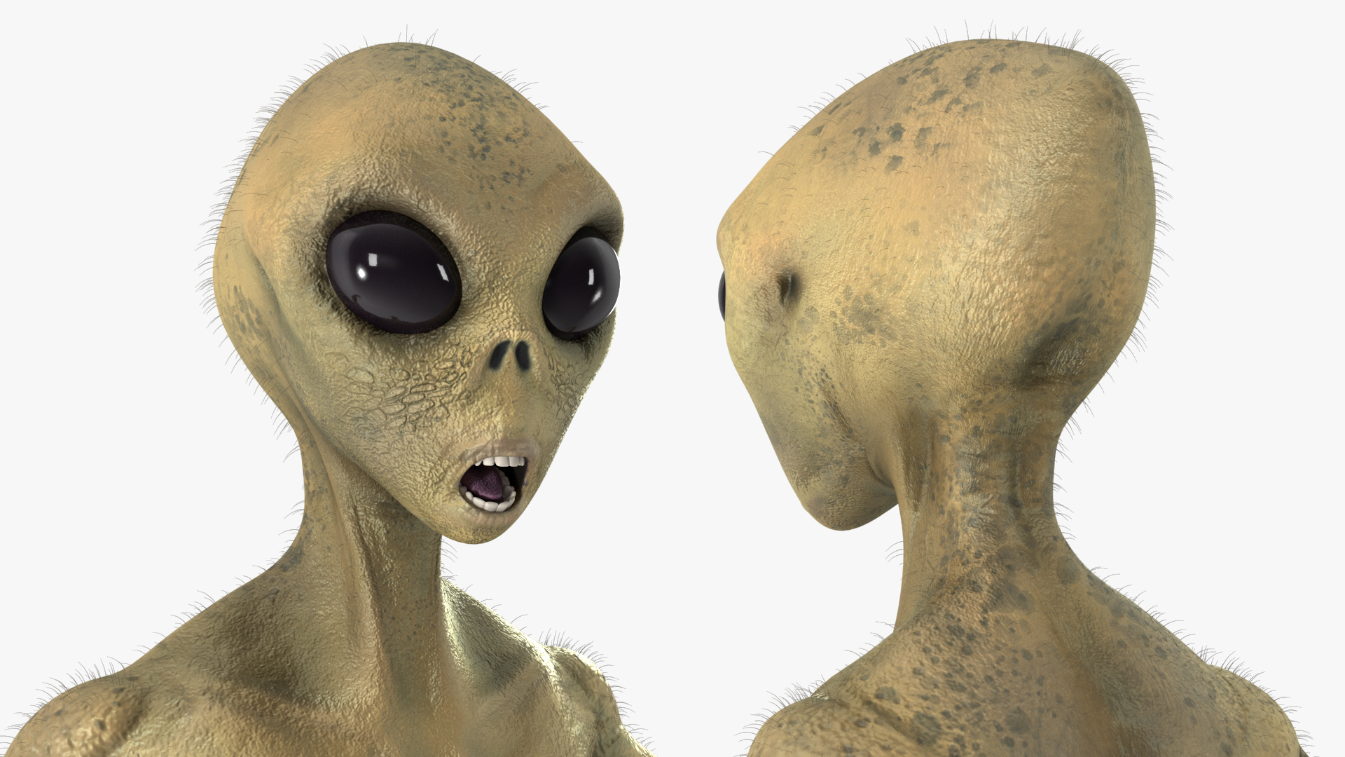 Humanoid Alien Creature Fur Rigged 3D model