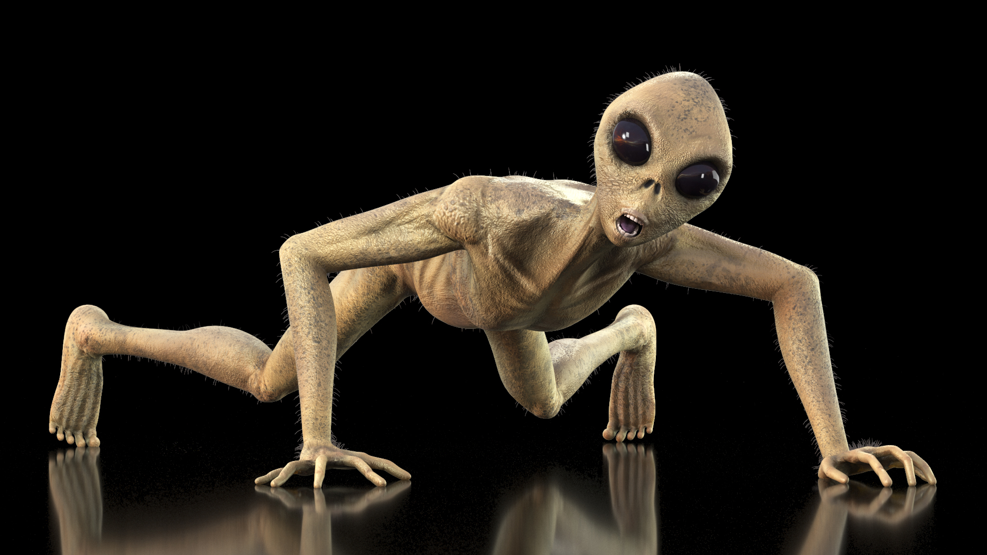 Humanoid Alien Creature Fur Rigged 3D model