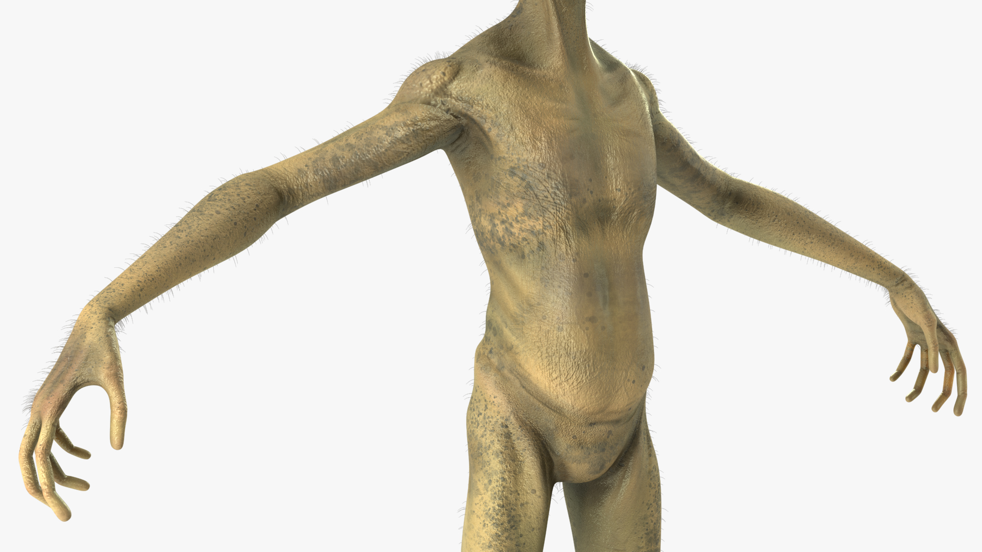 Humanoid Alien Creature Fur Rigged 3D model