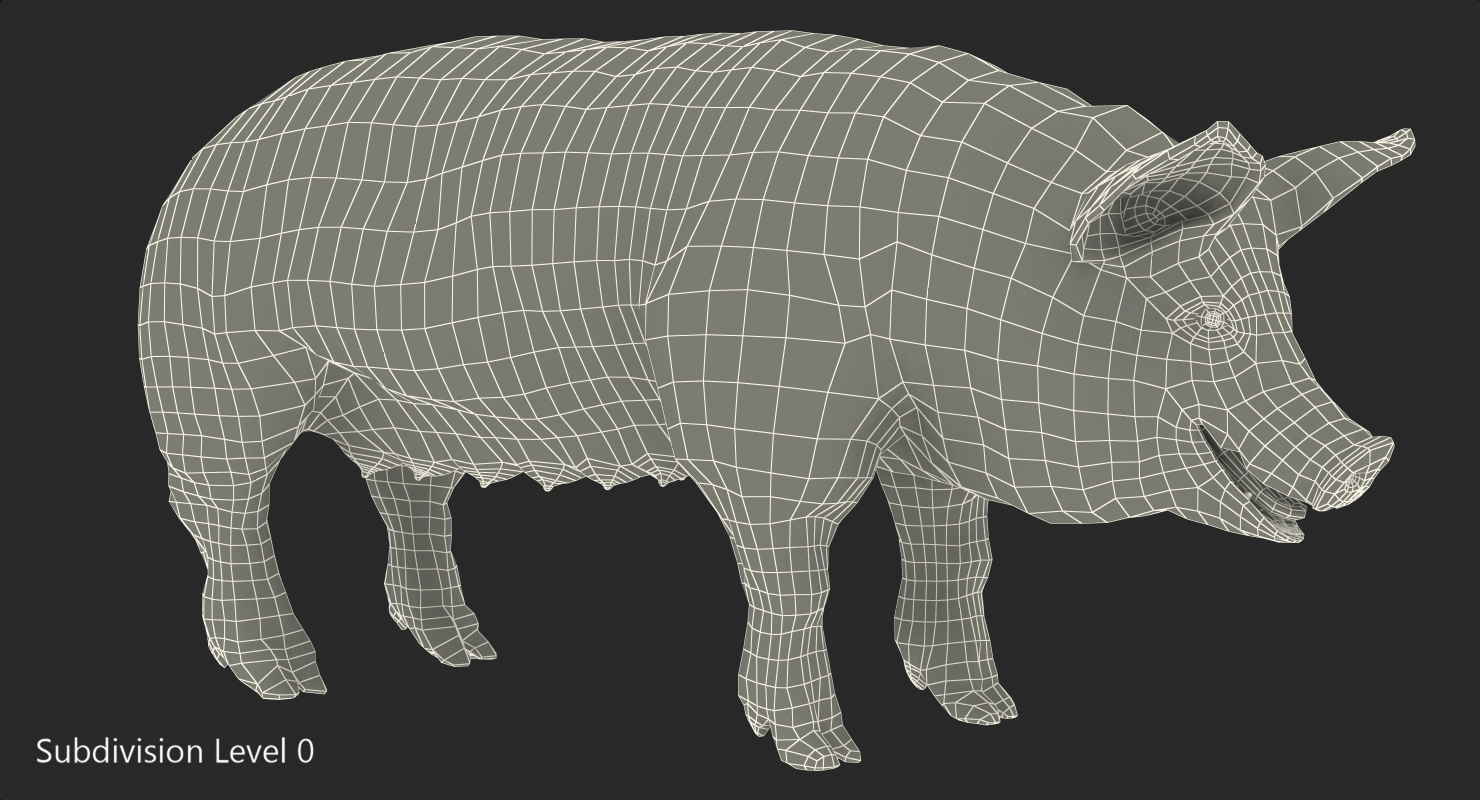 Hampshire Pig Sow 3D