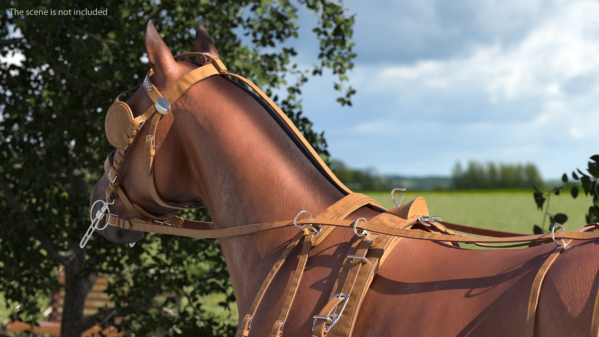 3D Horse Head Harness model