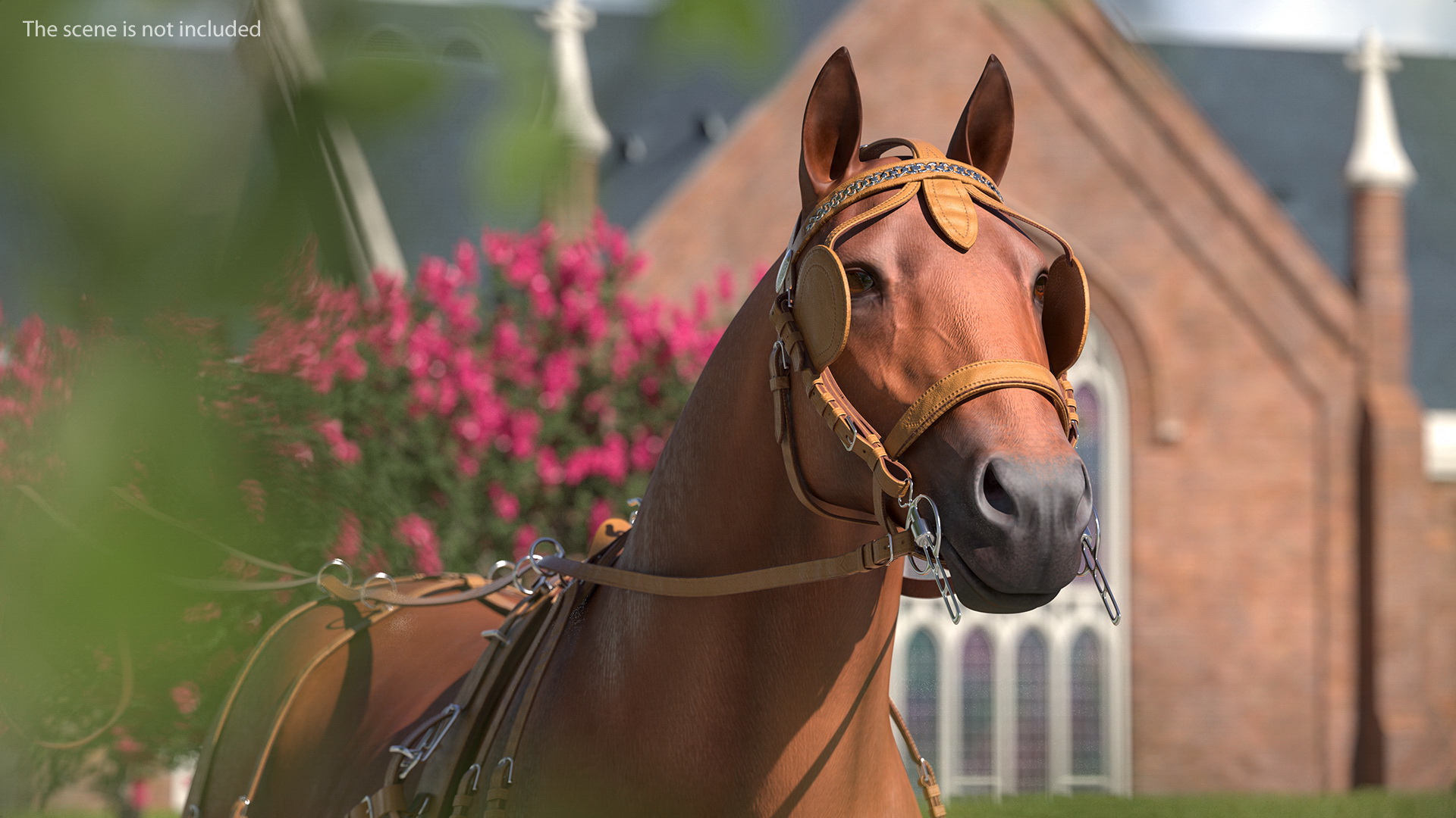 3D Horse Head Harness model