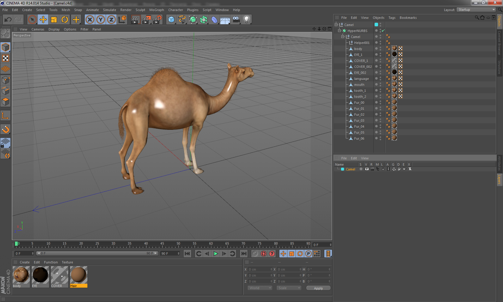 Camel 3D model