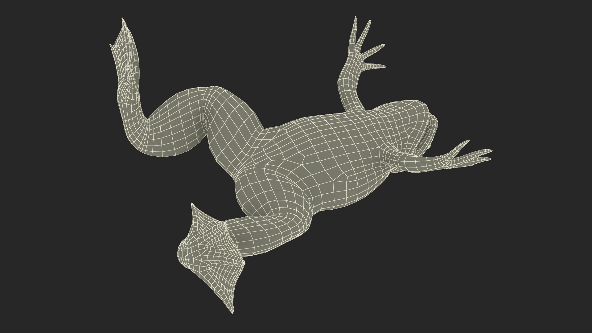 3D African Claw-toe Frog Rigged model