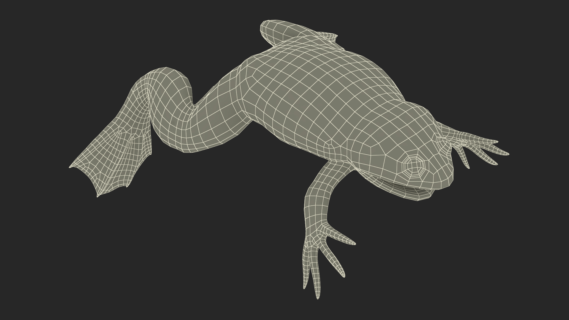 3D African Claw-toe Frog Rigged model