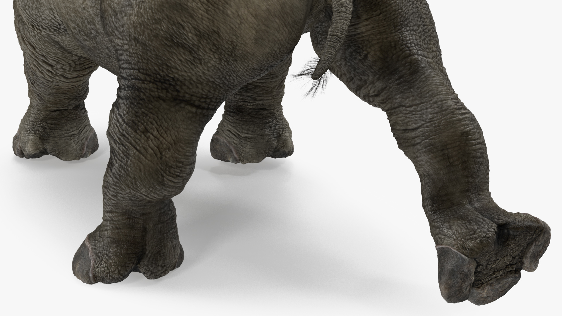 Rhino Baby Walking Pose Fur 3D