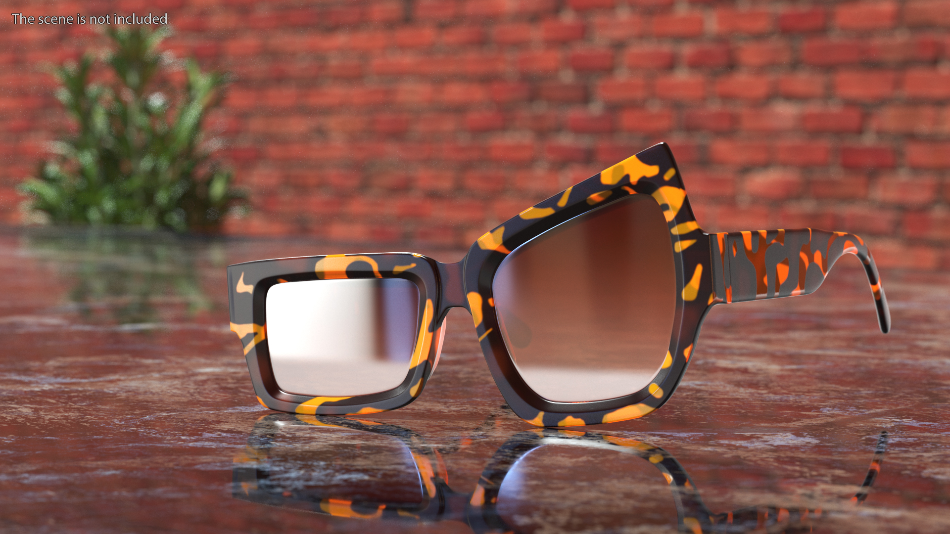 Tortoise Asymmetrical Sunglasses 3D