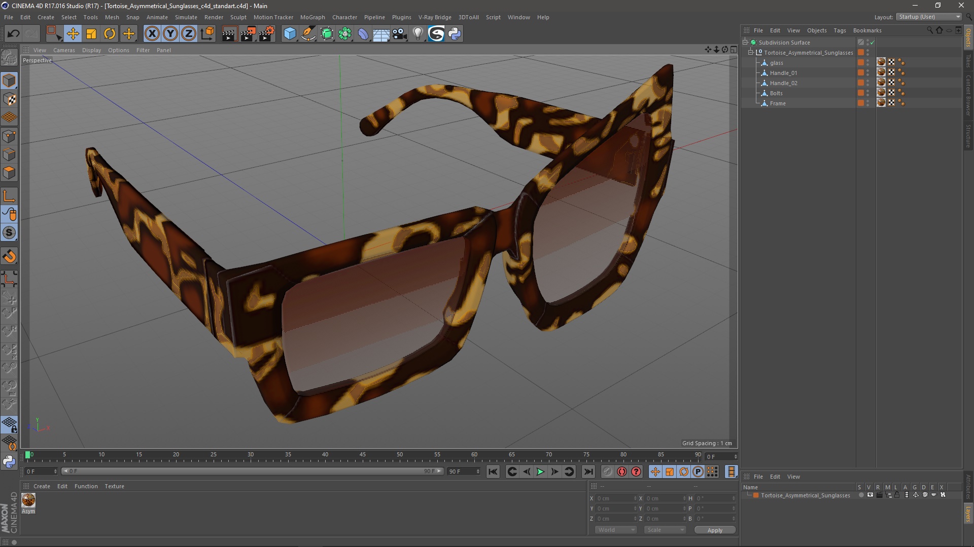 Tortoise Asymmetrical Sunglasses 3D