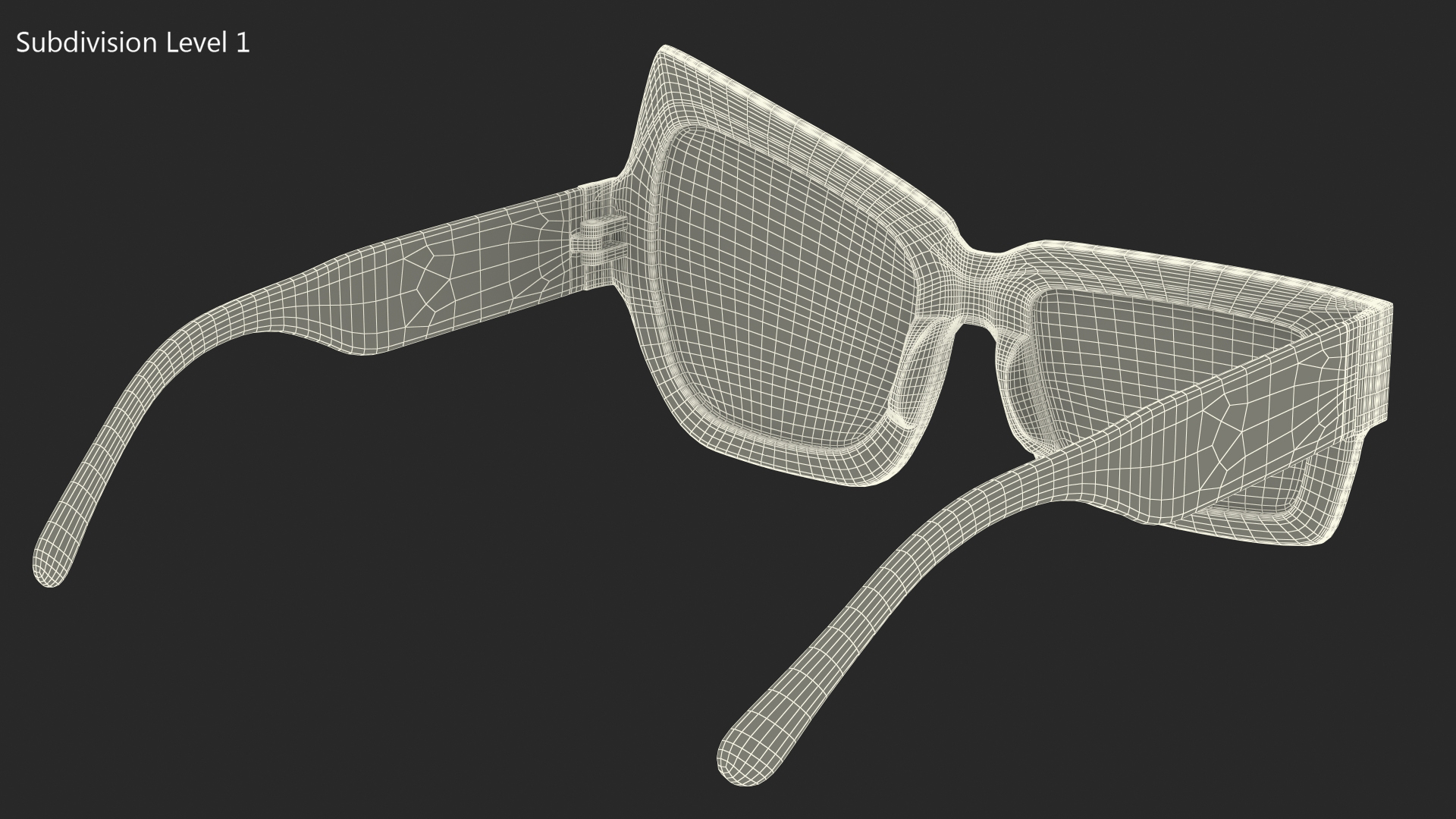 Tortoise Asymmetrical Sunglasses 3D