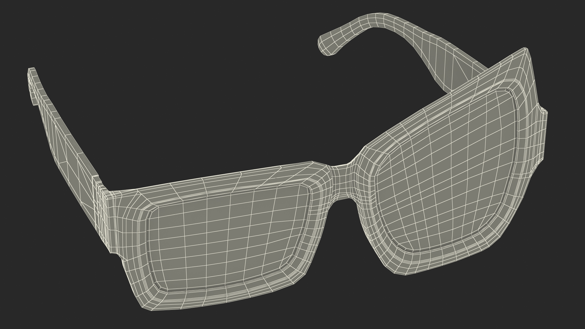 Tortoise Asymmetrical Sunglasses 3D