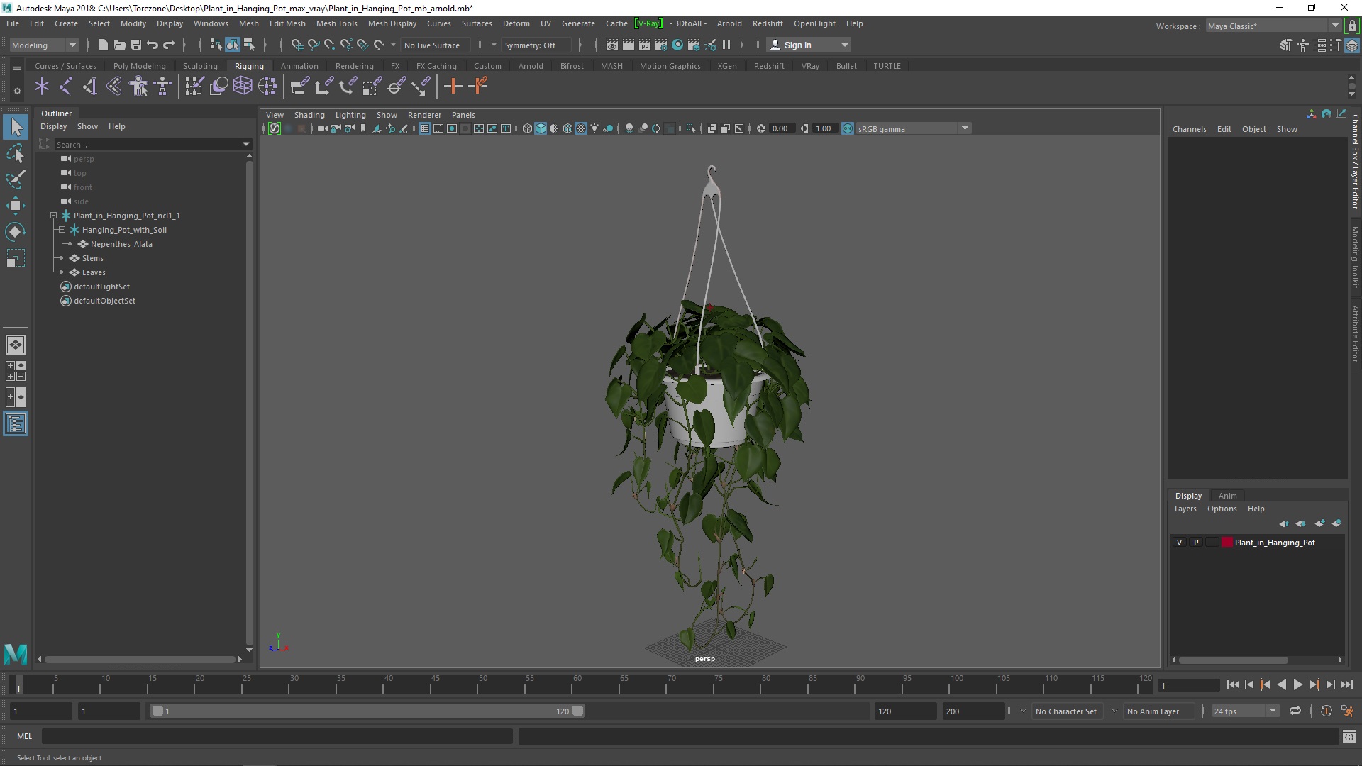 3D model Plant in Hanging Pot