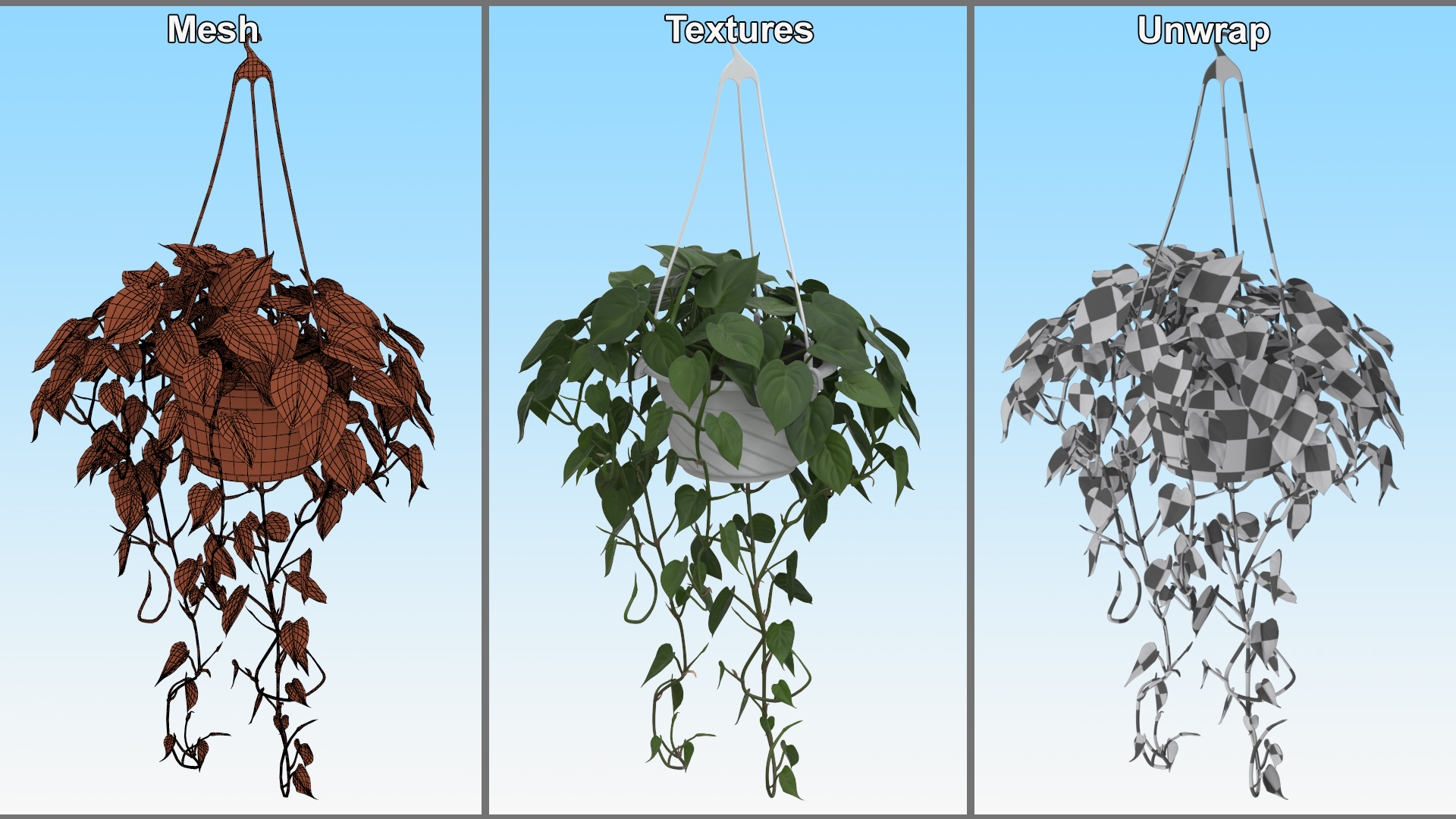 3D model Plant in Hanging Pot