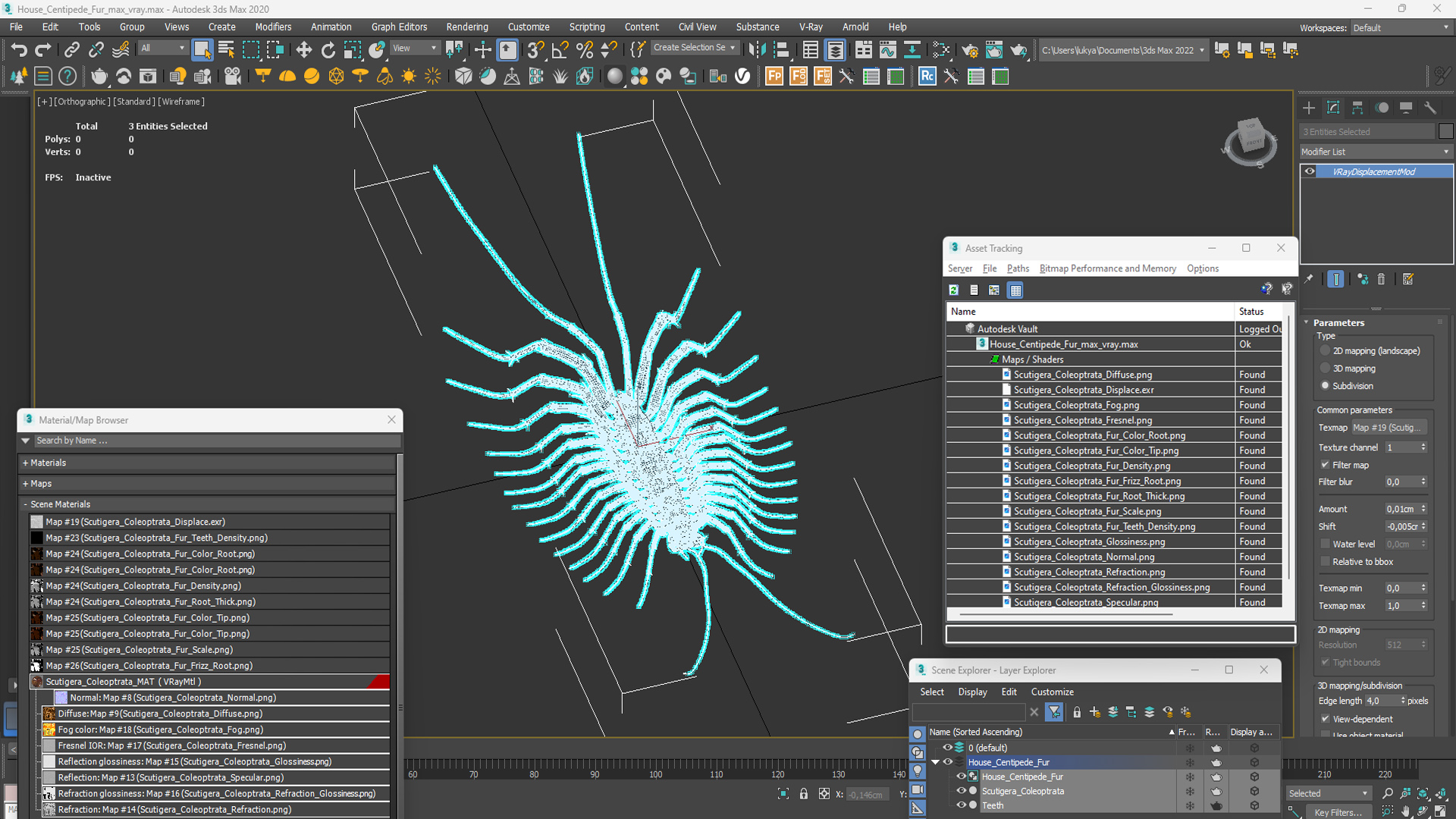 House Centipede Fur 3D model