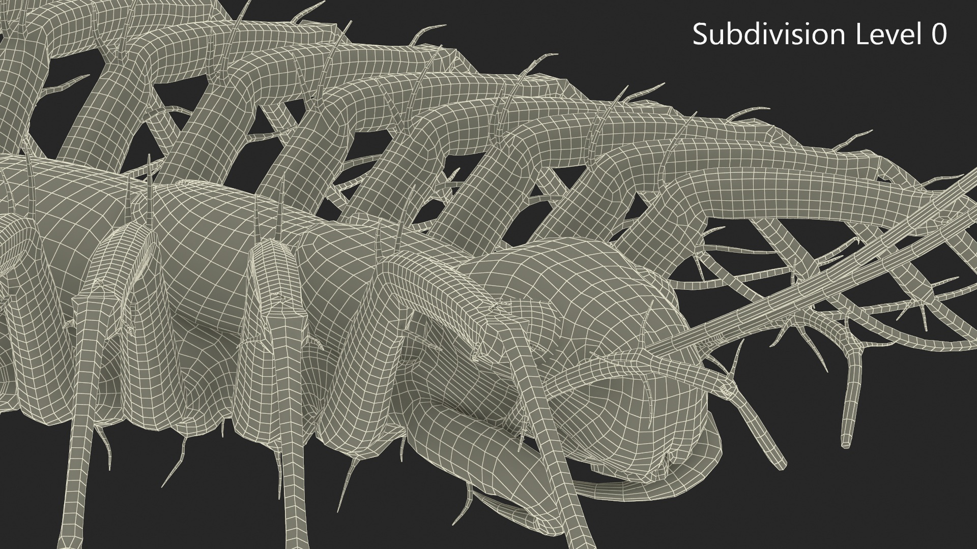 House Centipede Fur 3D model