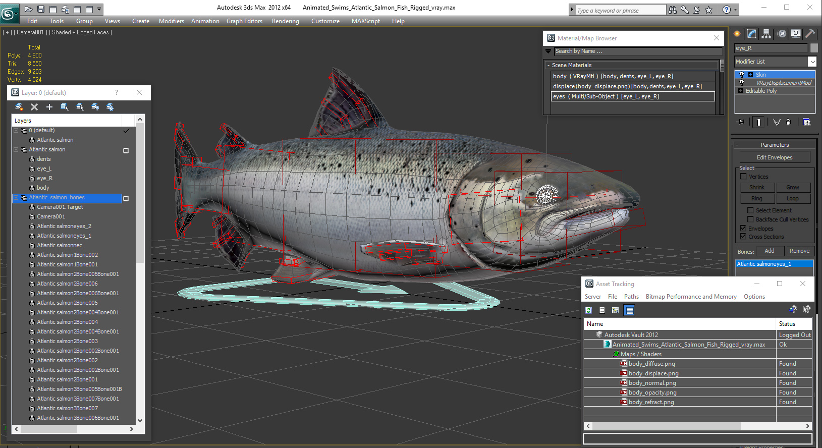 Animated Swims Atlantic Salmon Fish Rigged 3D