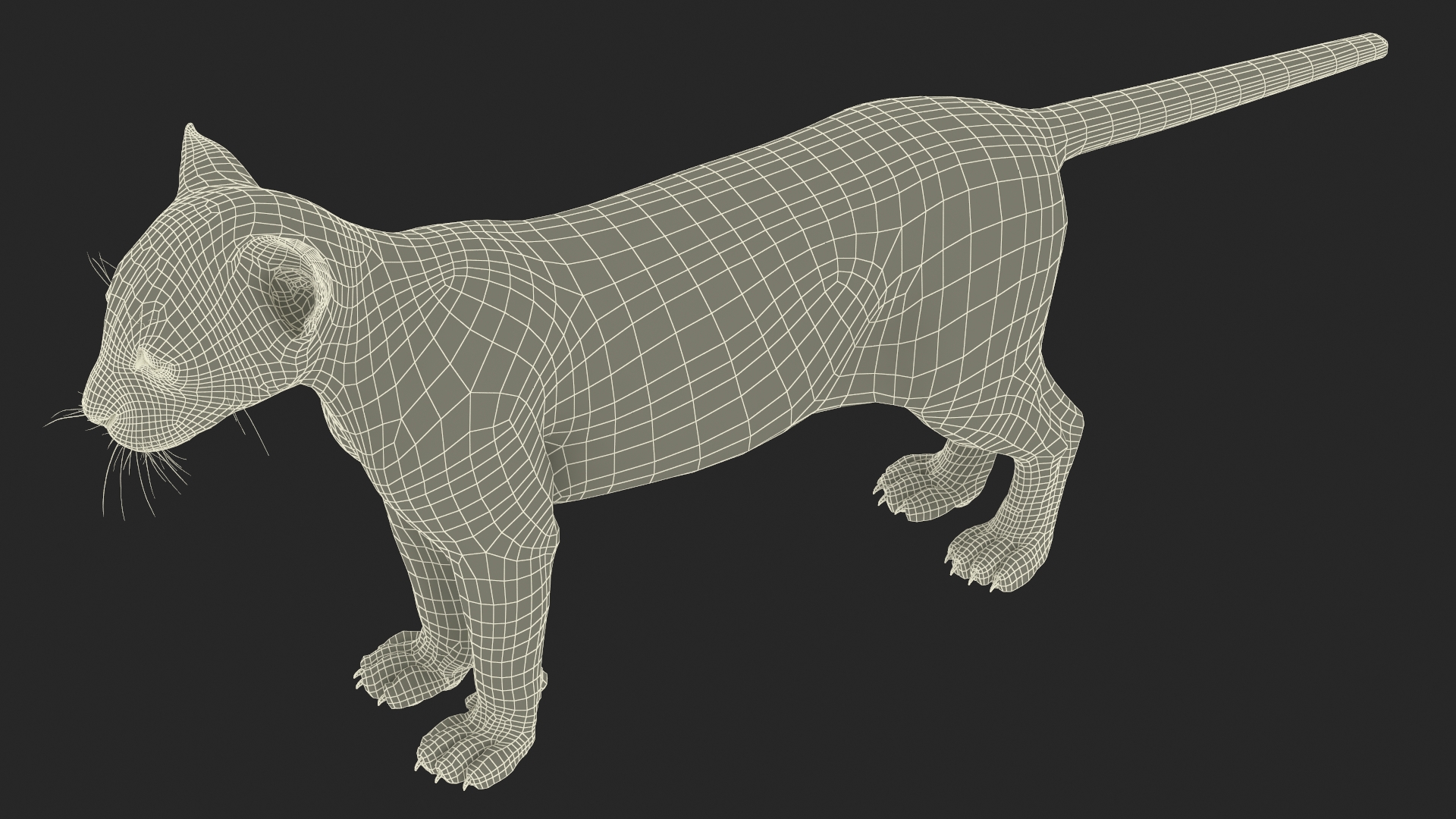 3D model Puma Cub Rigged