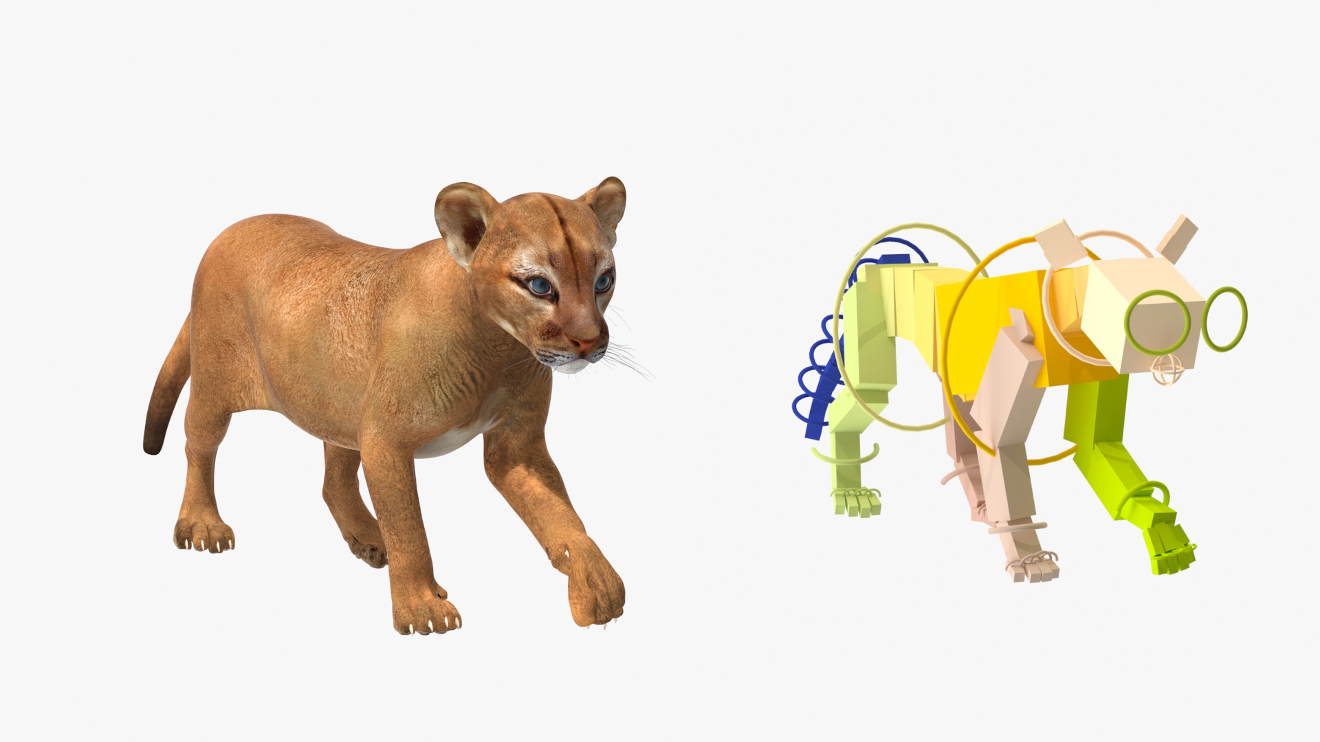 3D model Puma Cub Rigged