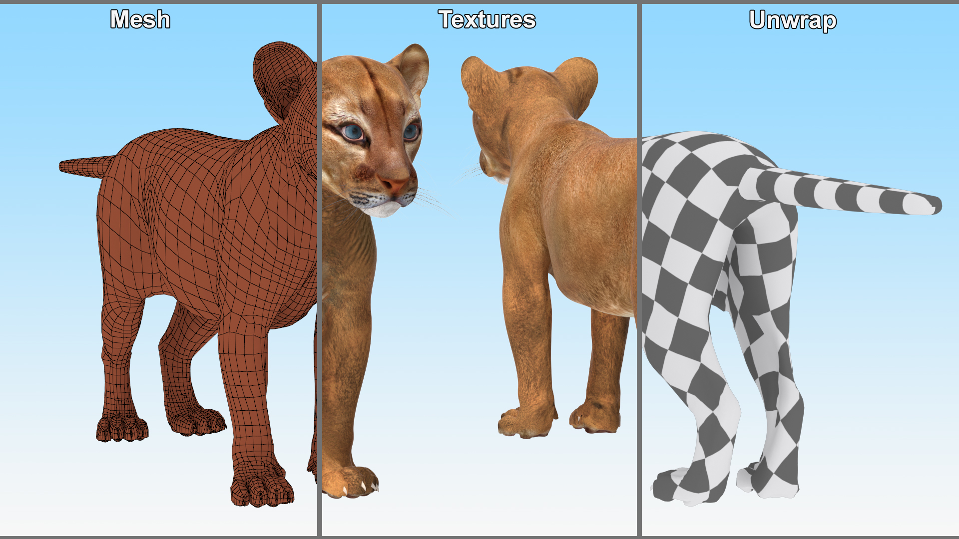 3D model Puma Cub Rigged