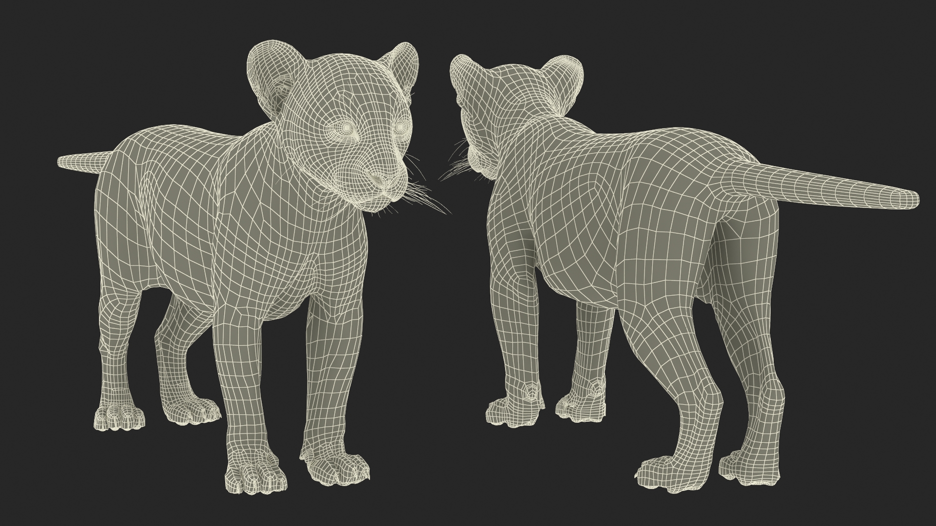 3D model Puma Cub Rigged