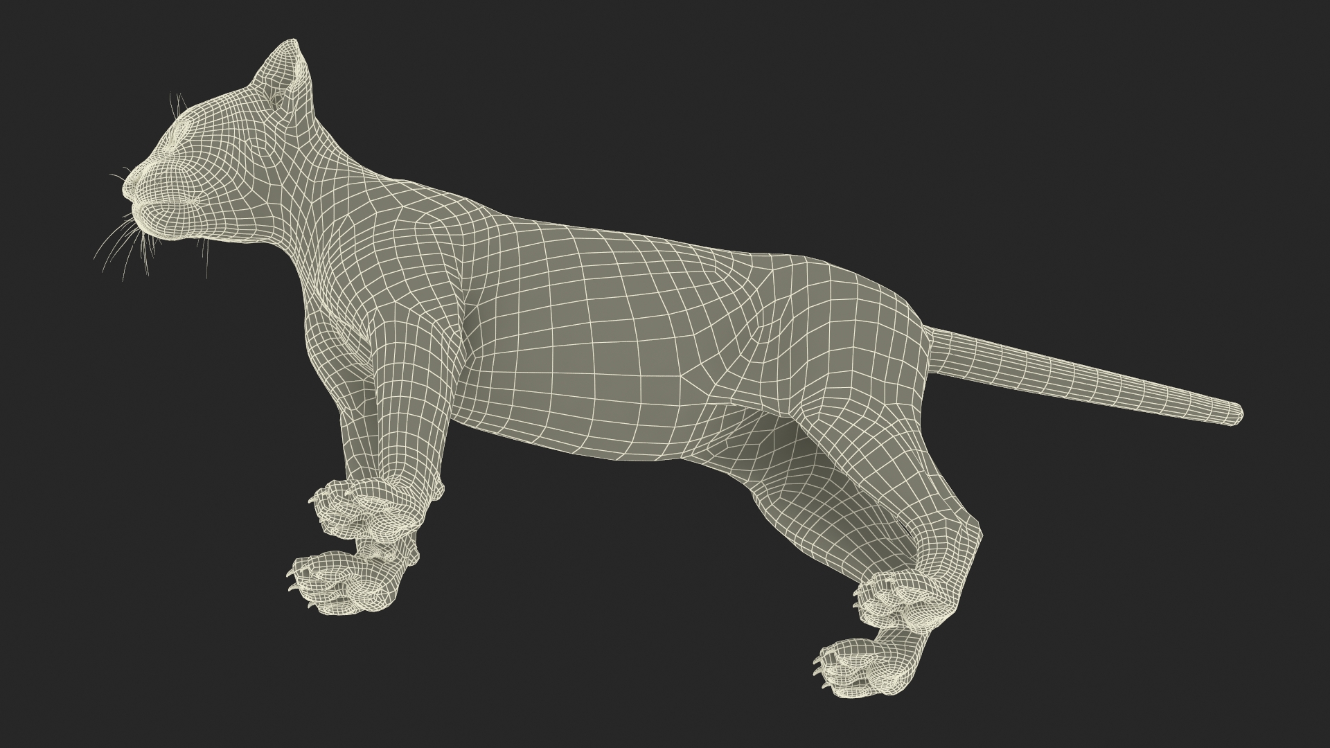 3D model Puma Cub Rigged