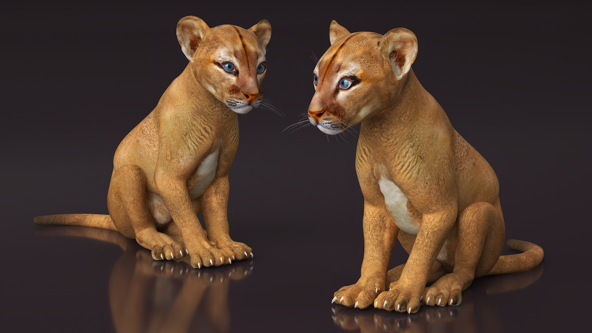 3D model Puma Cub Rigged