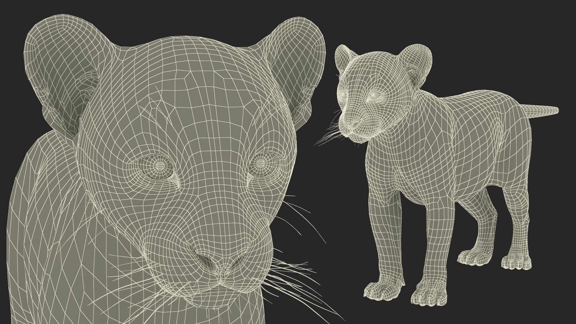 3D model Puma Cub Rigged