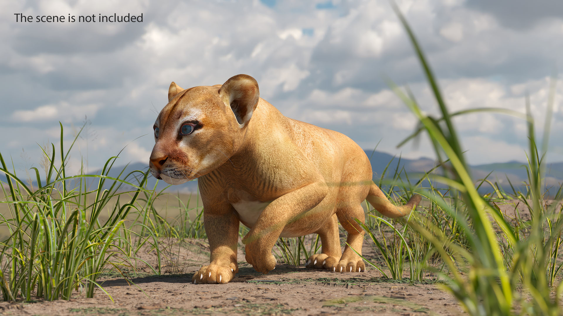 3D model Puma Cub Rigged