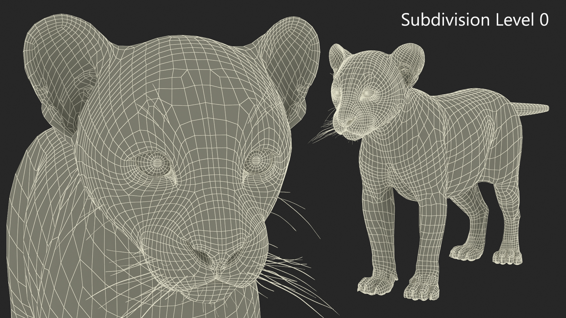 3D model Puma Cub Rigged