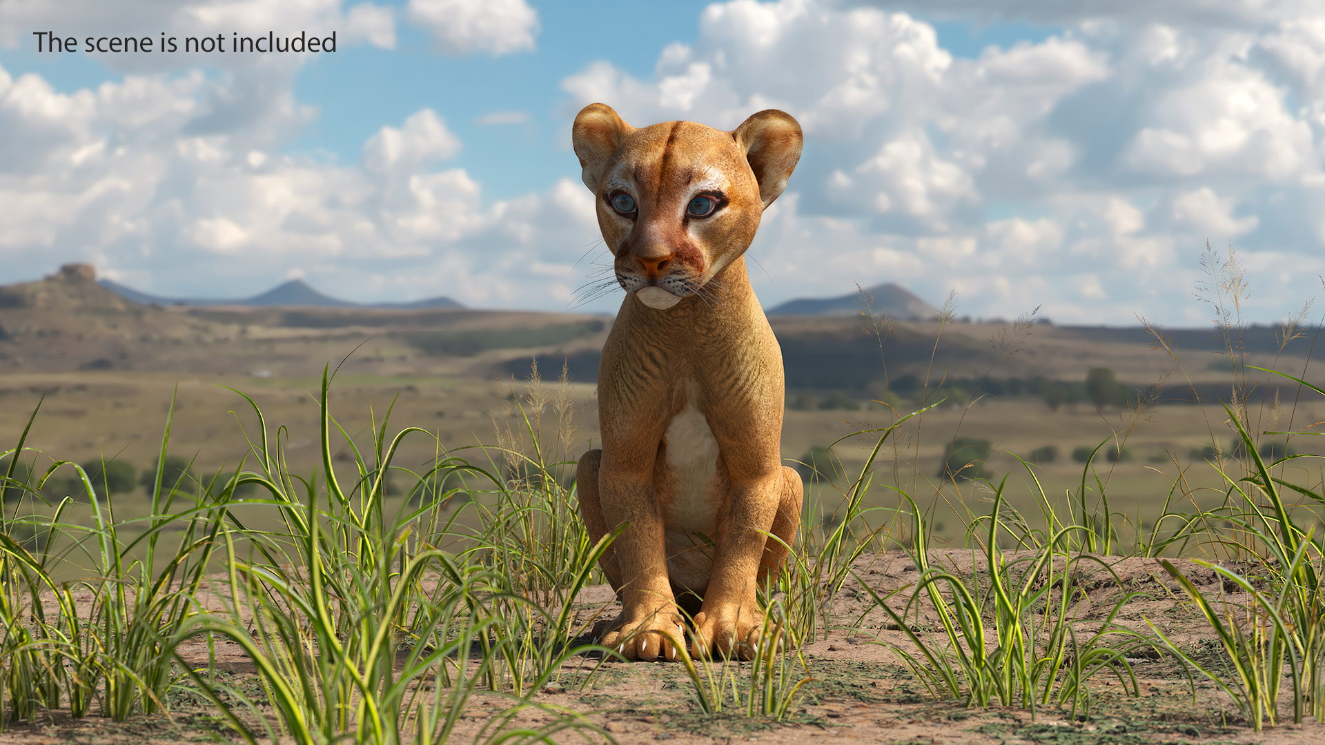 3D model Puma Cub Rigged