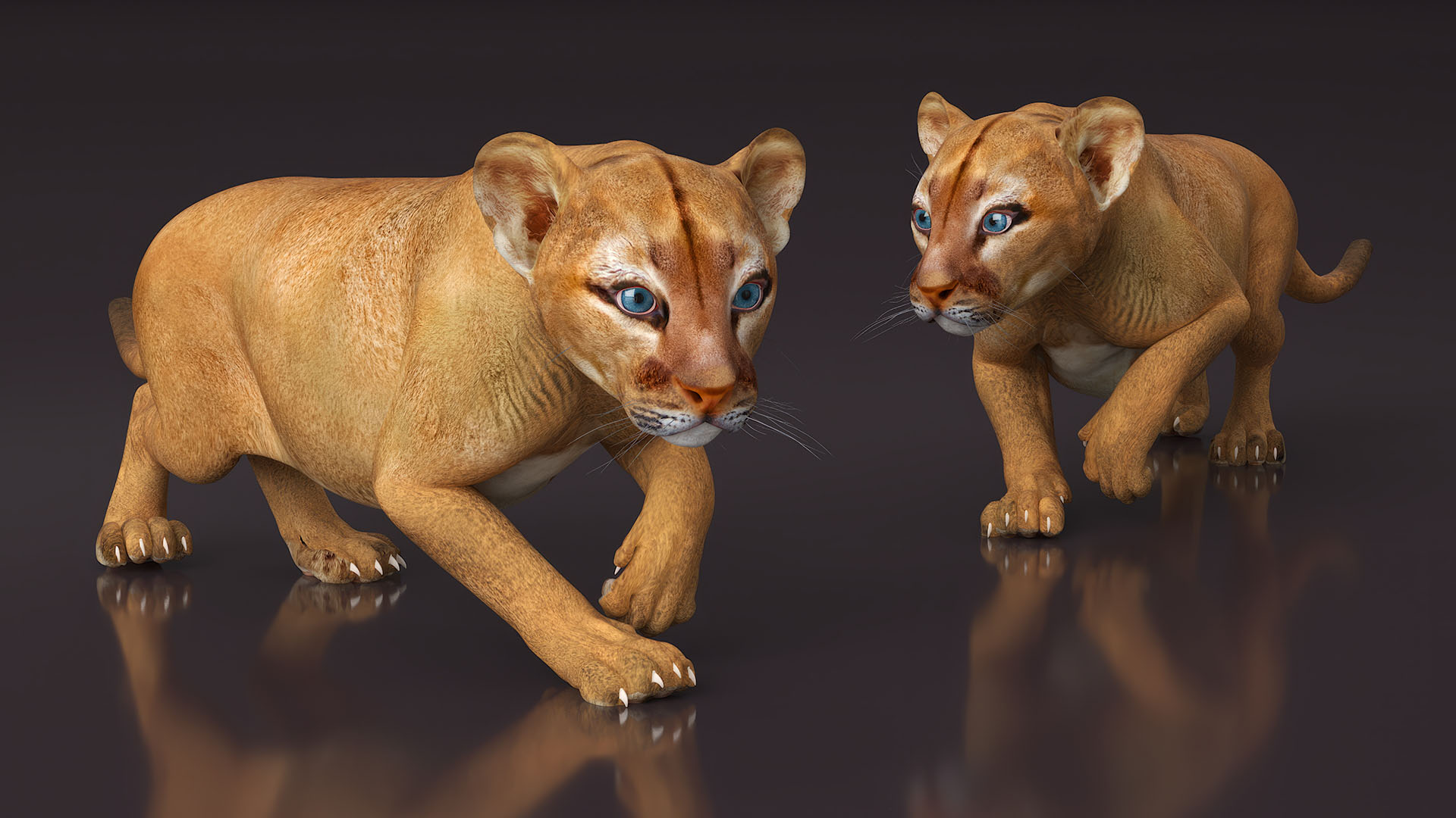 3D model Puma Cub Rigged