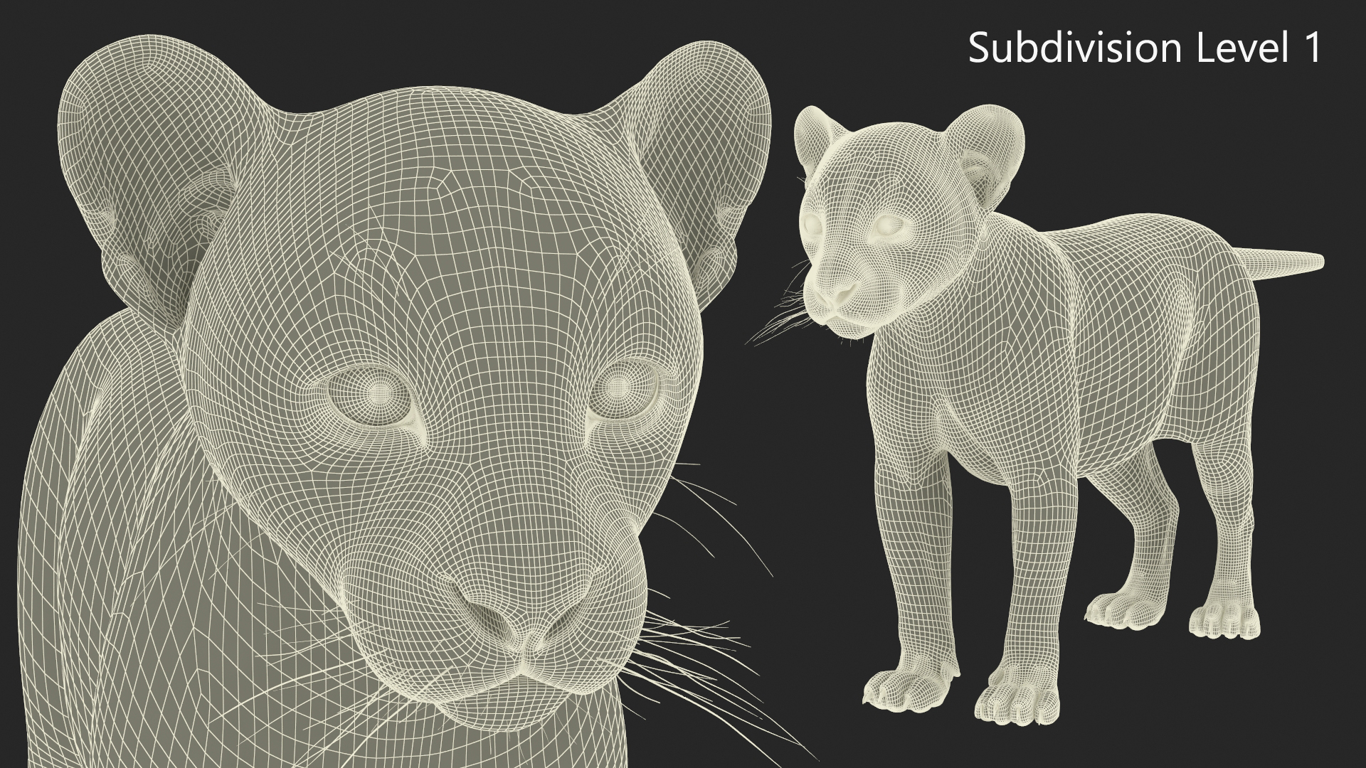 3D model Puma Cub Rigged