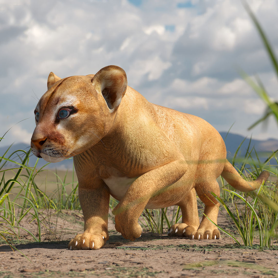 3D model Puma Cub Rigged