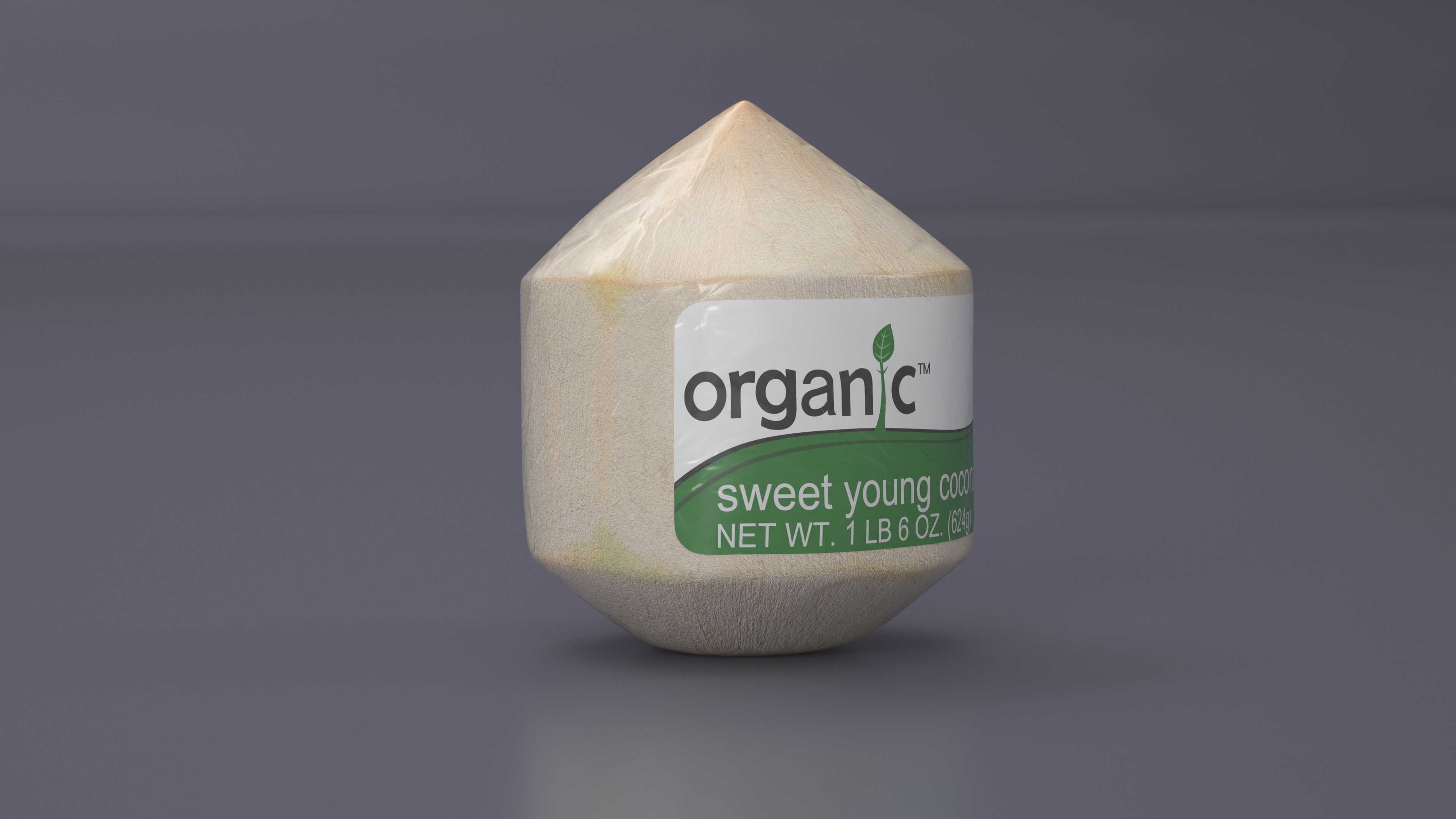 Fresh Shelled Coconut Pack Organic 3D model