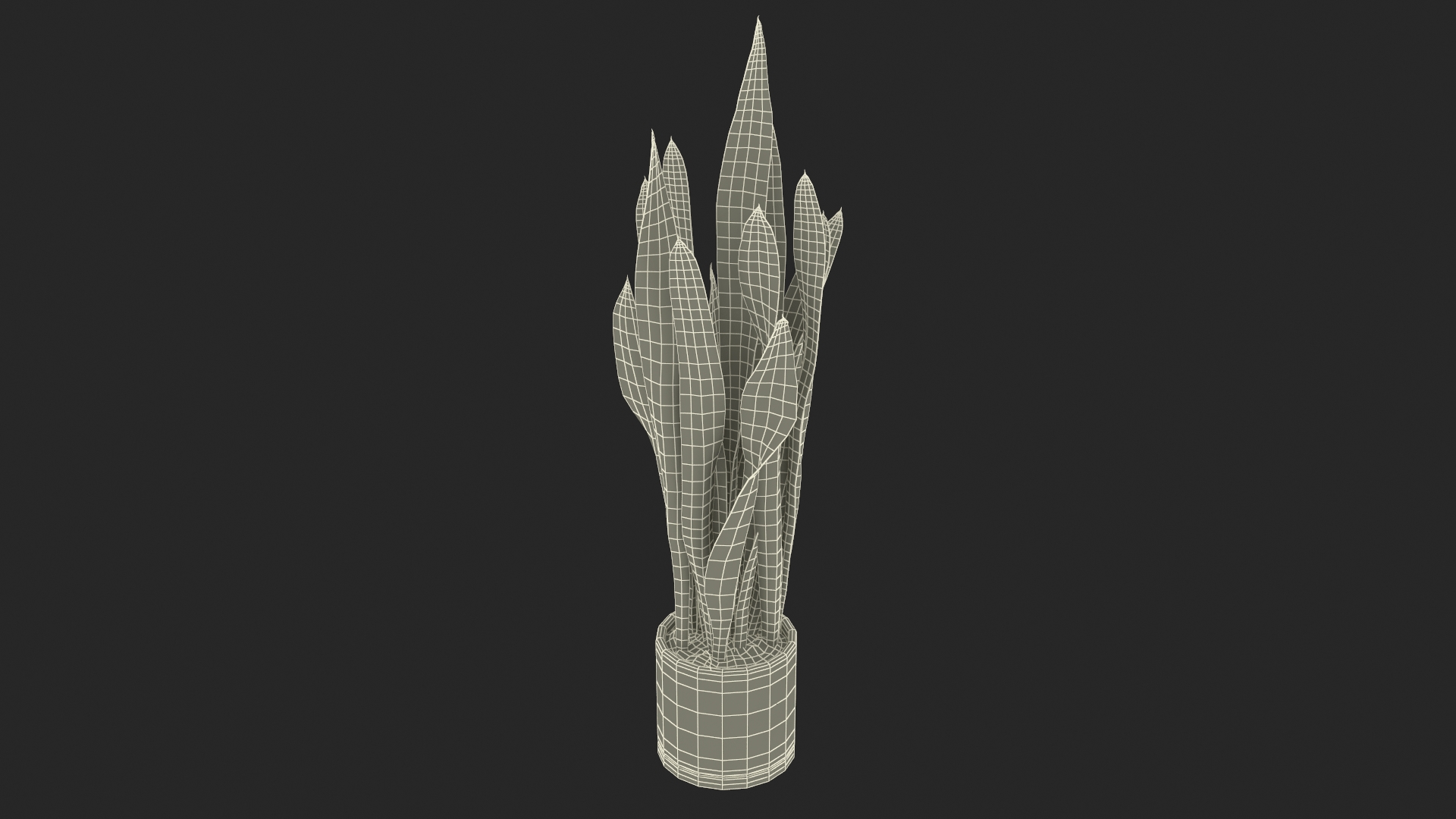 3D model Saint Georges Sword Plant