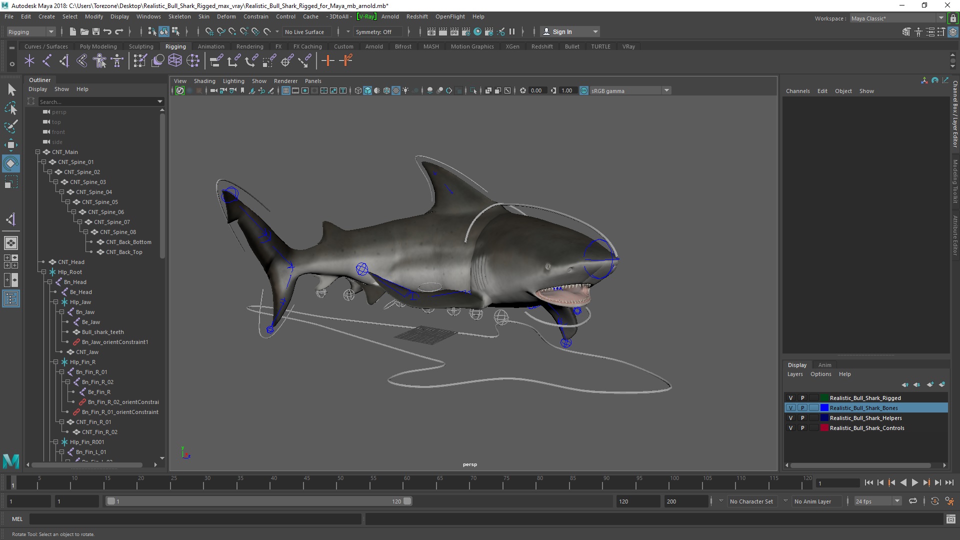 3D Realistic Bull Shark Rigged for Maya