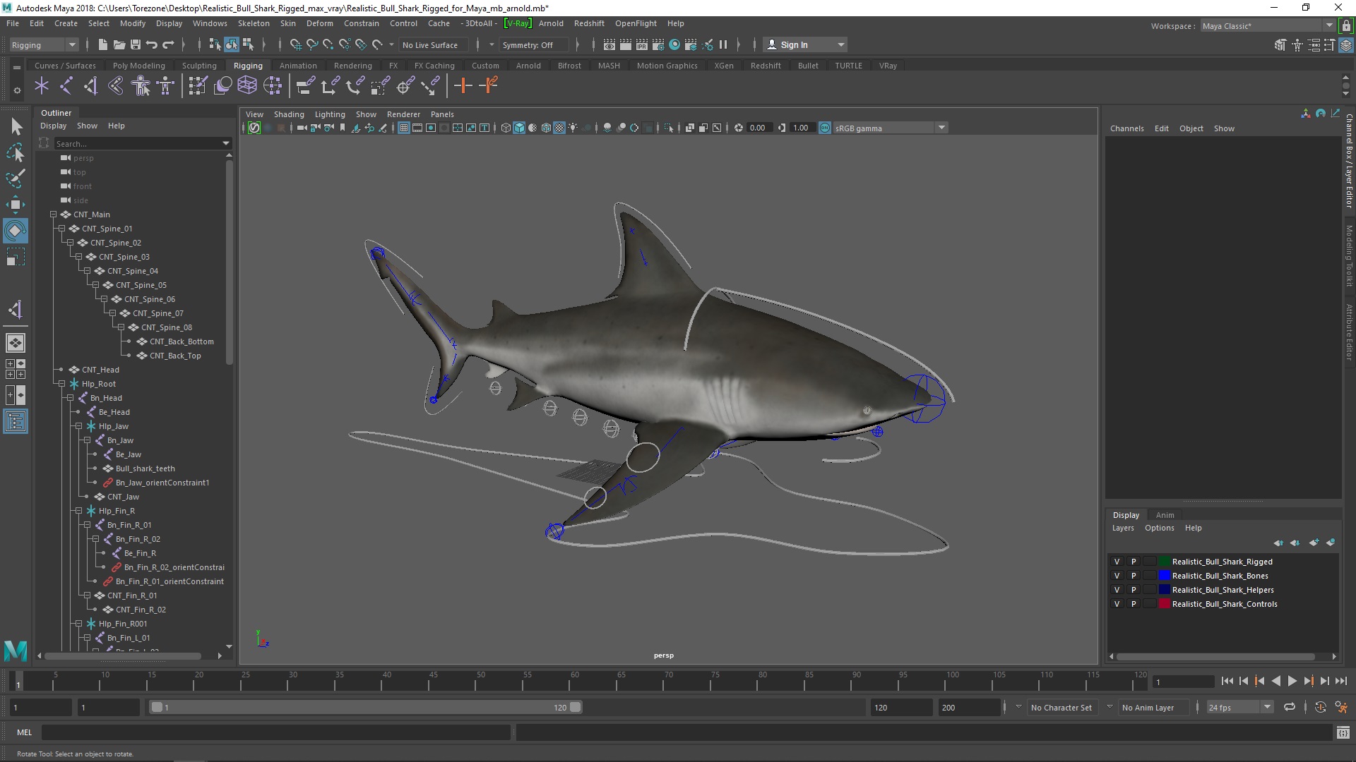 3D Realistic Bull Shark Rigged for Maya