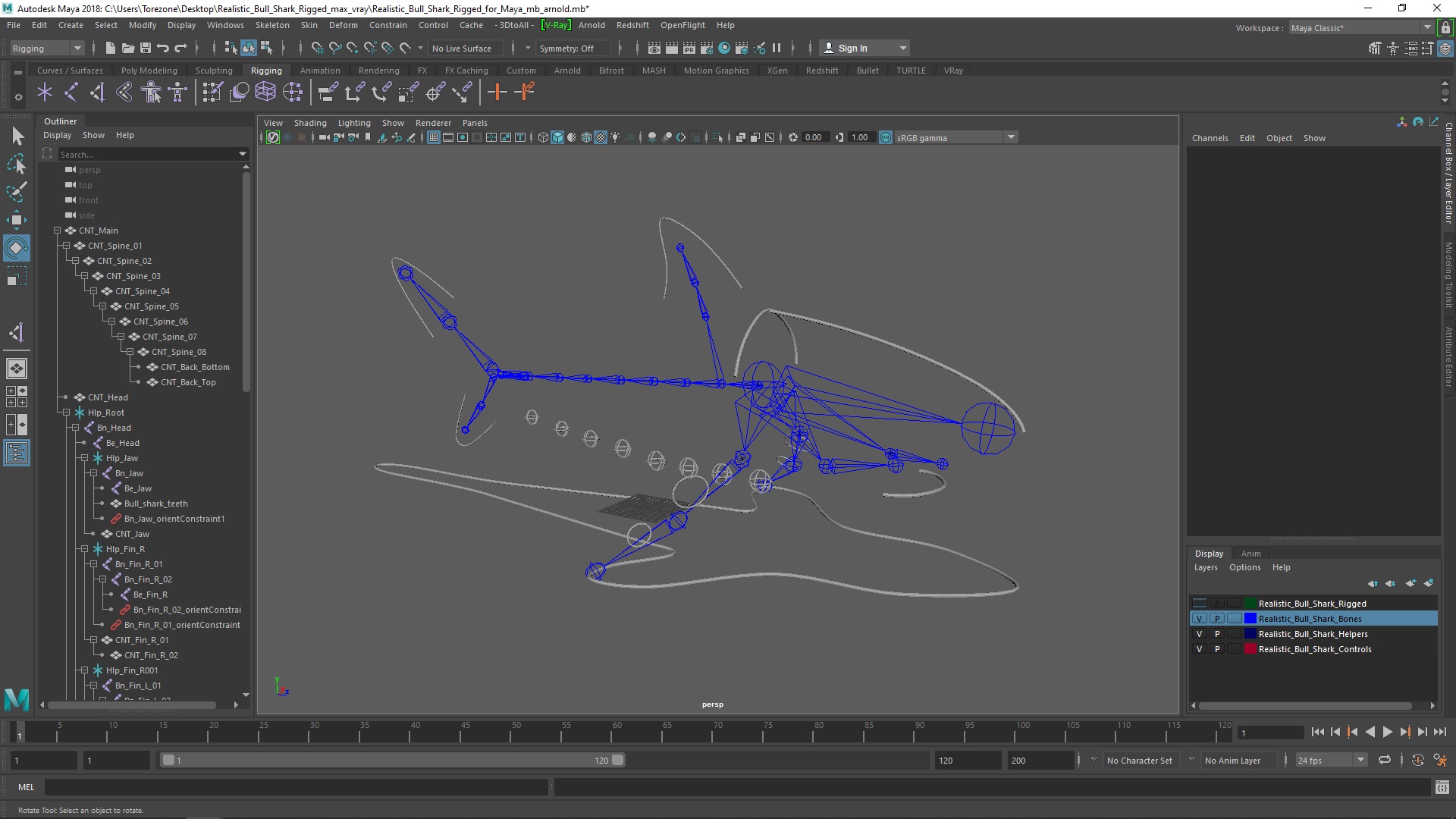 3D Realistic Bull Shark Rigged for Maya