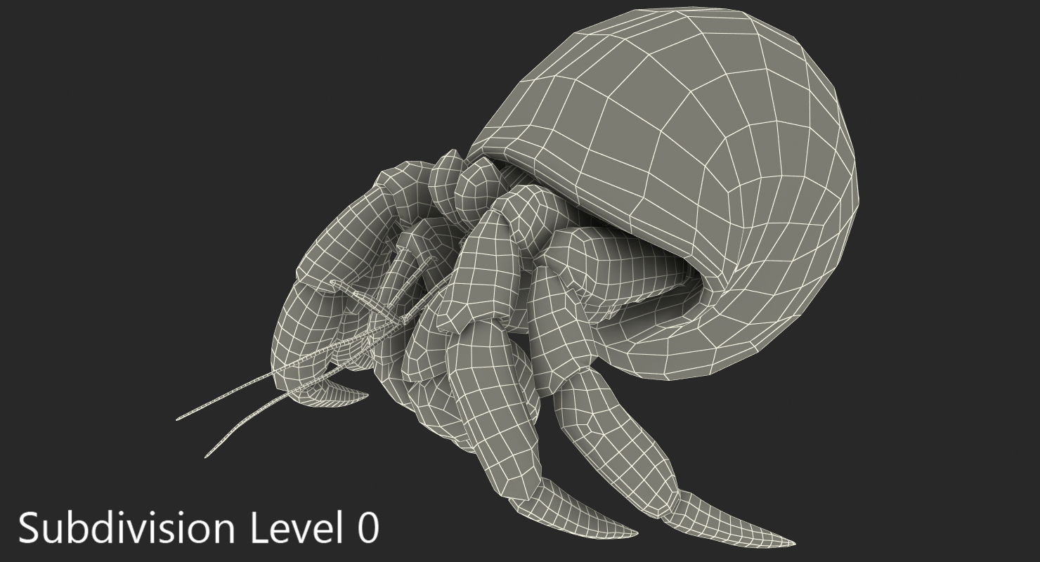 3D Hermit Crab Walking Pose with Fur model