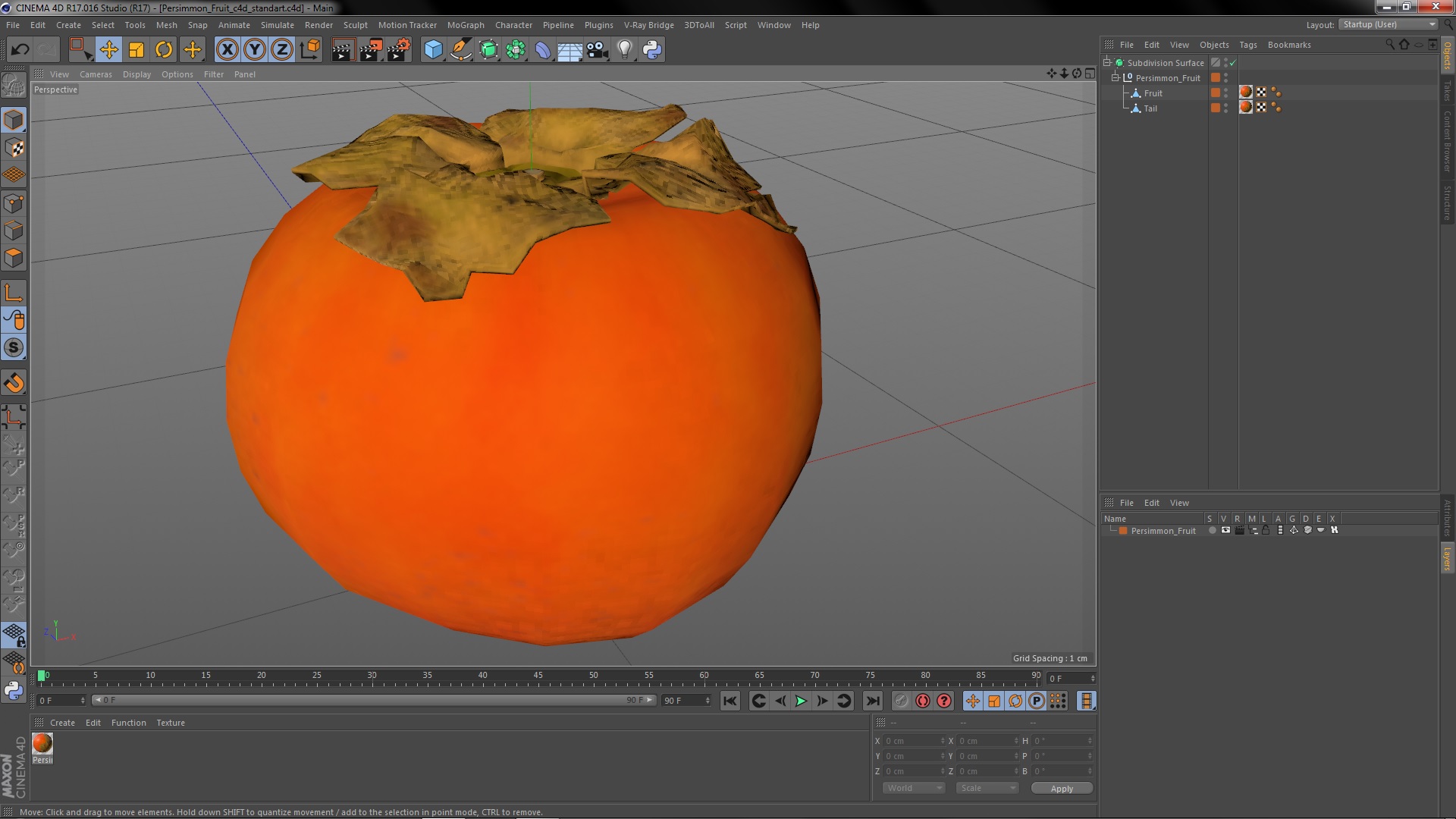 3D model Persimmon Fruit