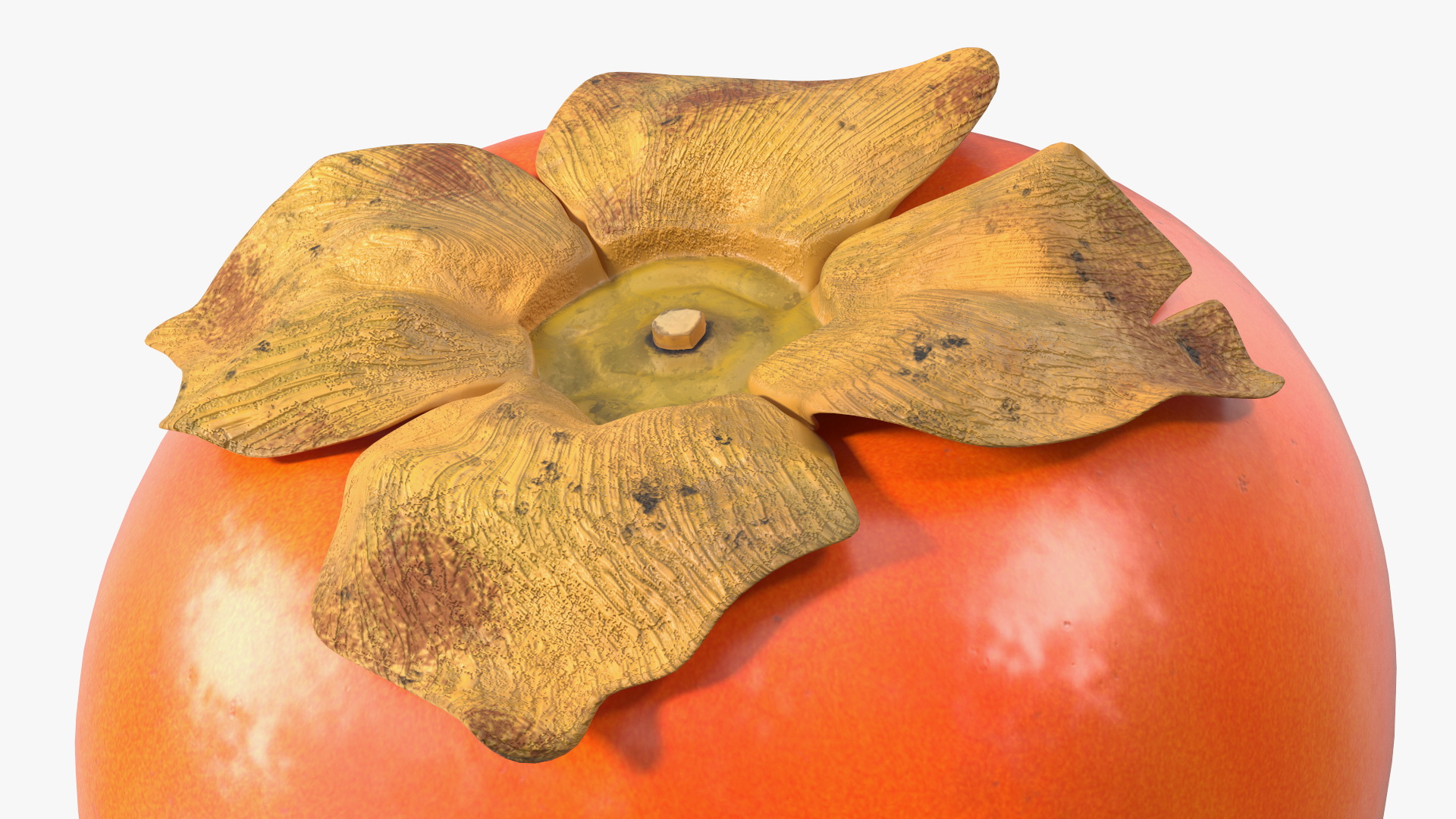 3D model Persimmon Fruit