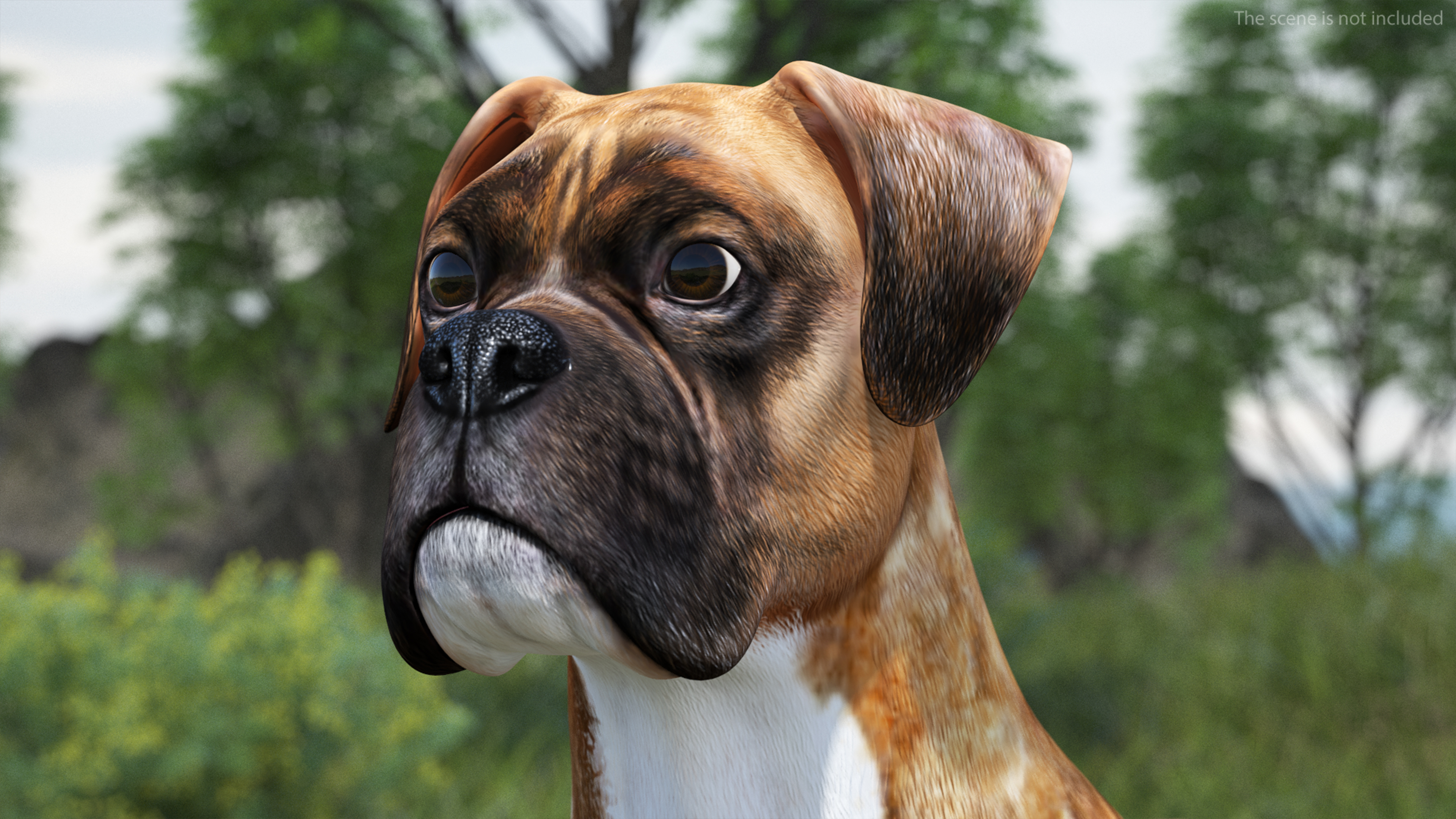 3D model Boxer Dog Tiger Colored Rigged