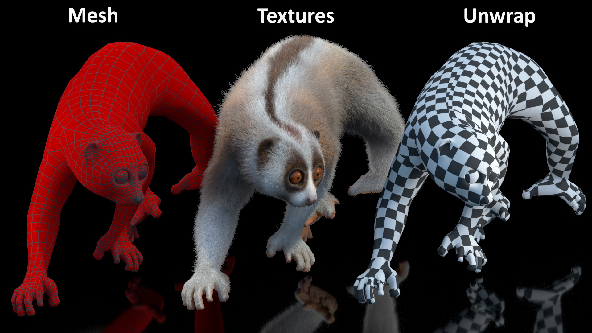 3D model Philippine Slow Loris Fur