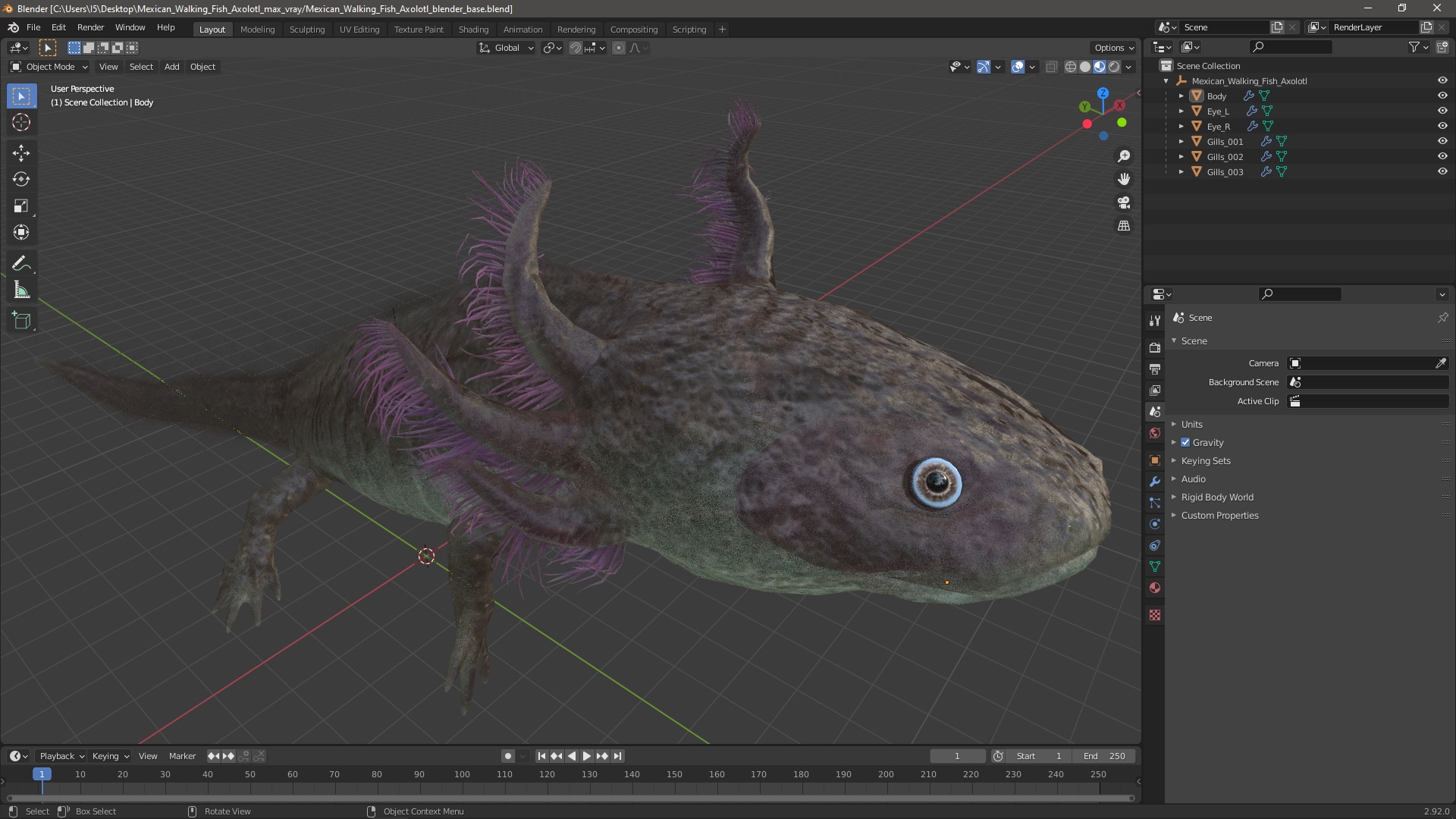 3D Mexican Walking Fish Axolotl model