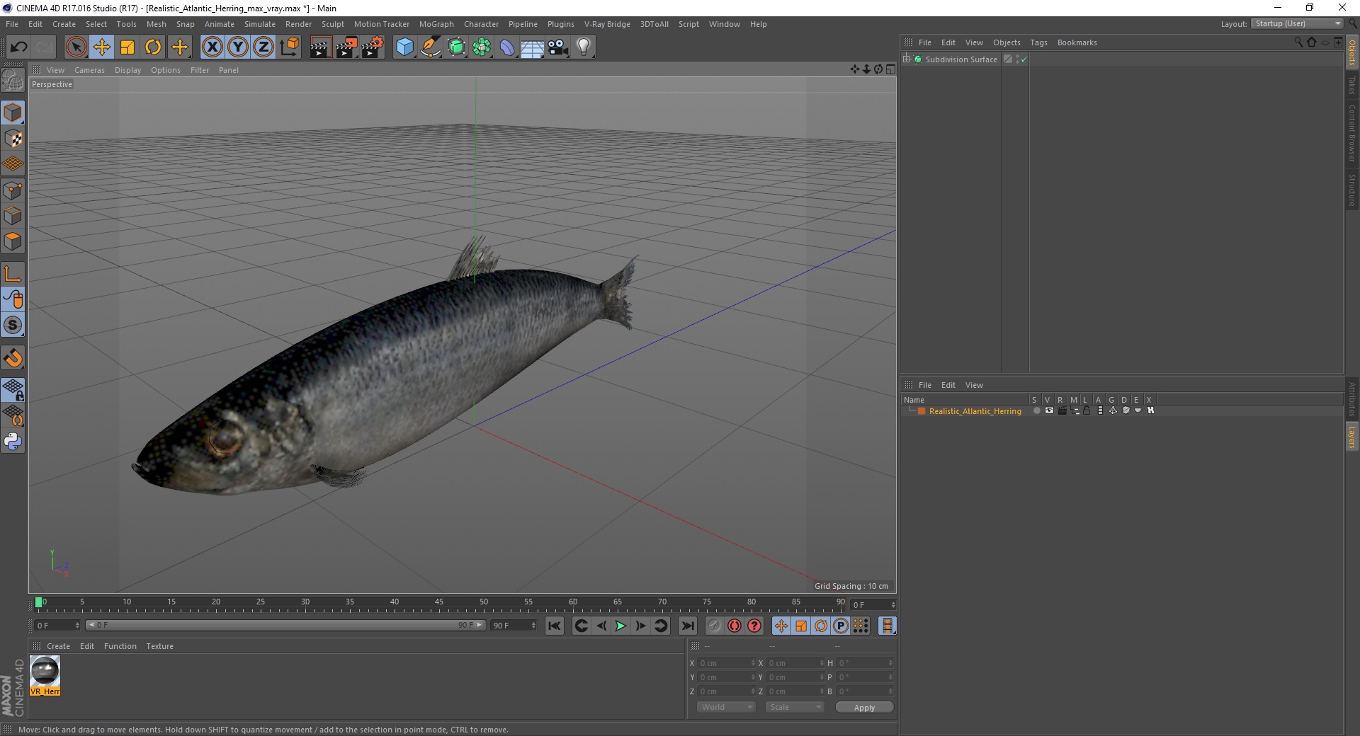 3D Realistic Atlantic Herring