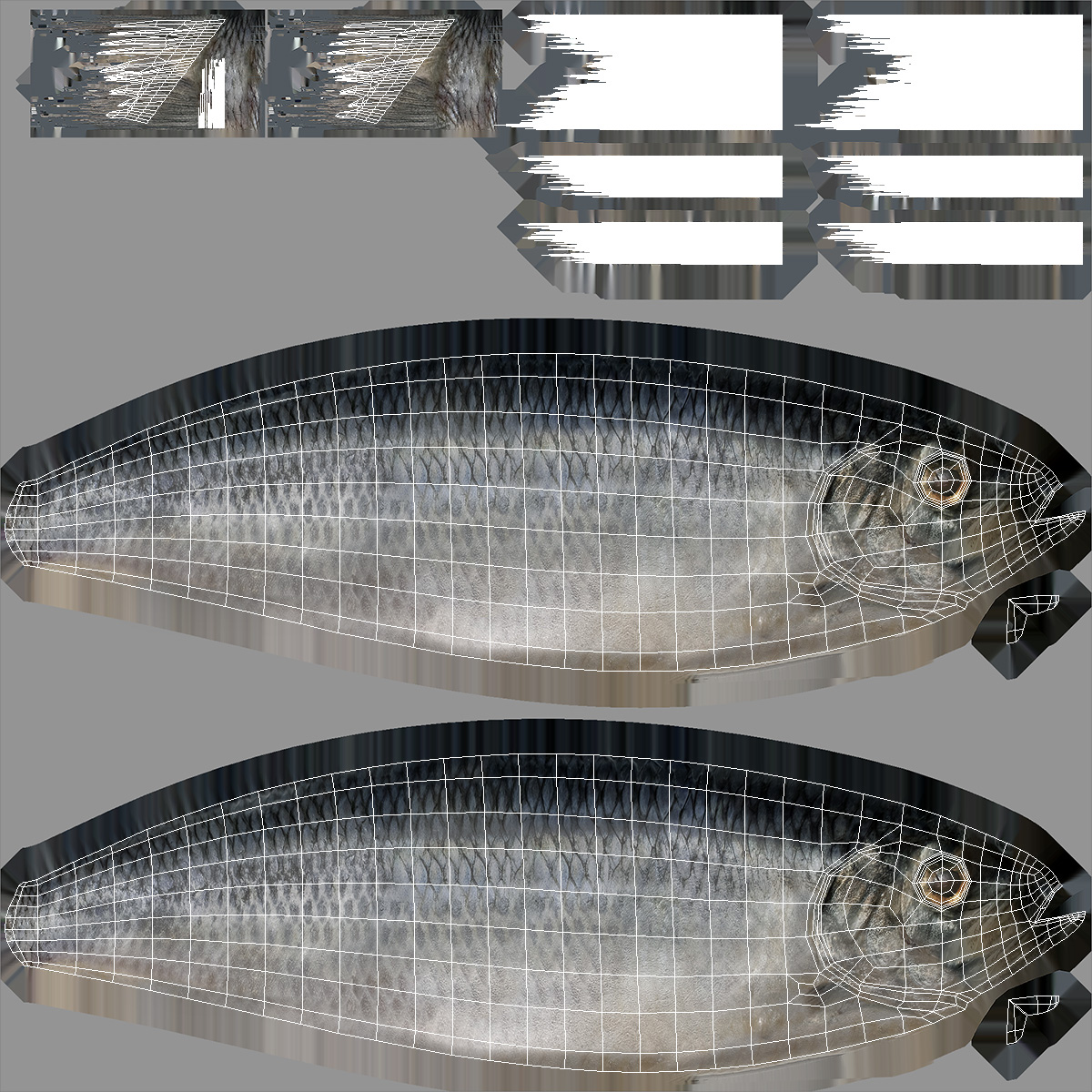 3D Realistic Atlantic Herring