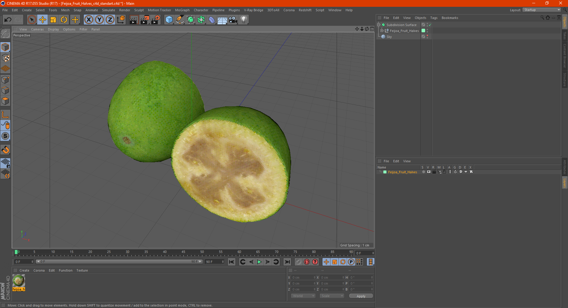 Feijoa Fruit Halves 3D model