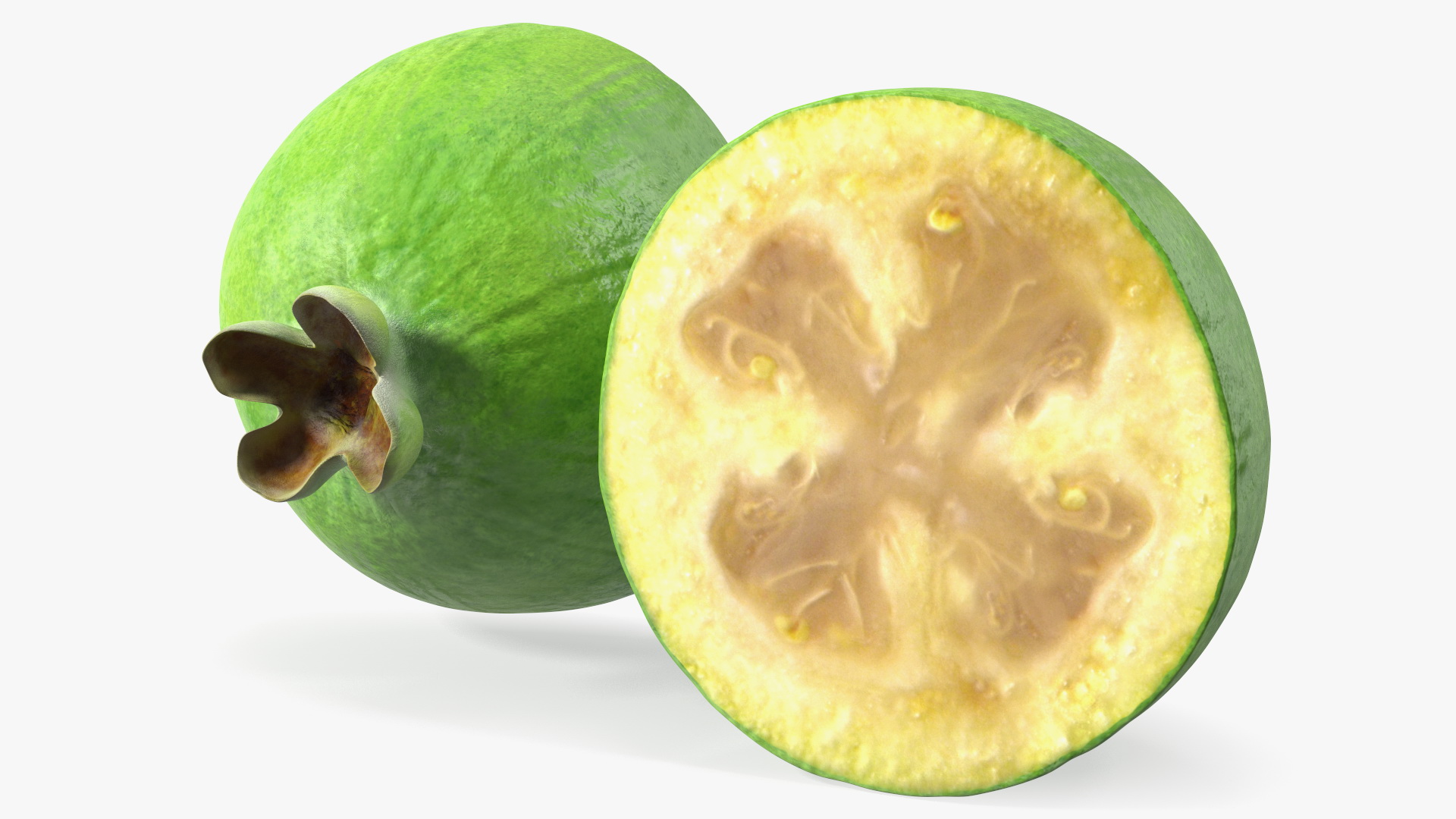 Feijoa Fruit Halves 3D model