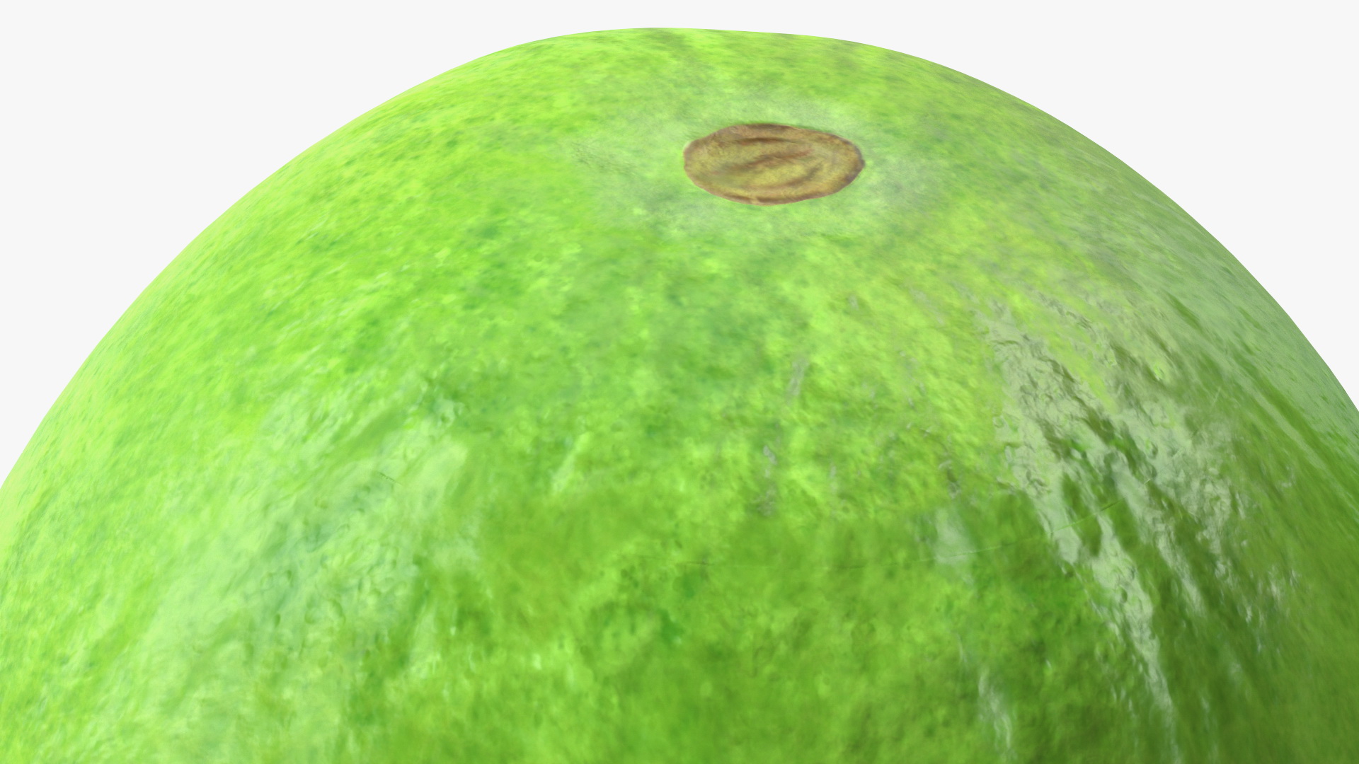 Feijoa Fruit Halves 3D model