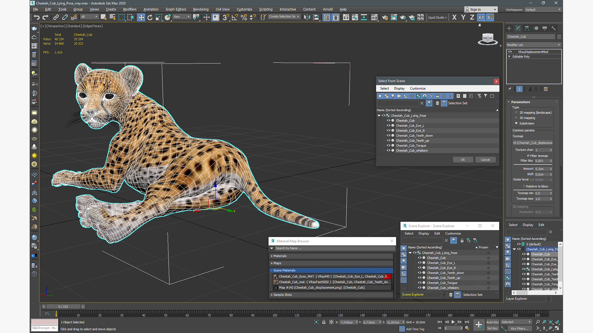 Cheetah Cub Lying Pose 3D