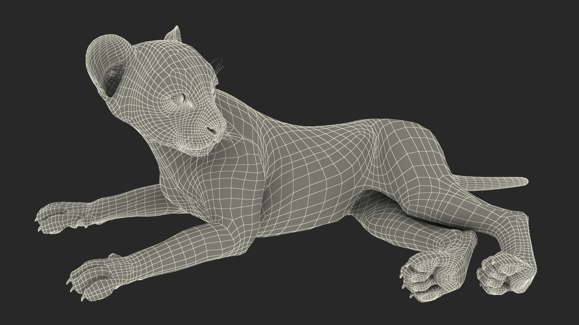 Cheetah Cub Lying Pose 3D